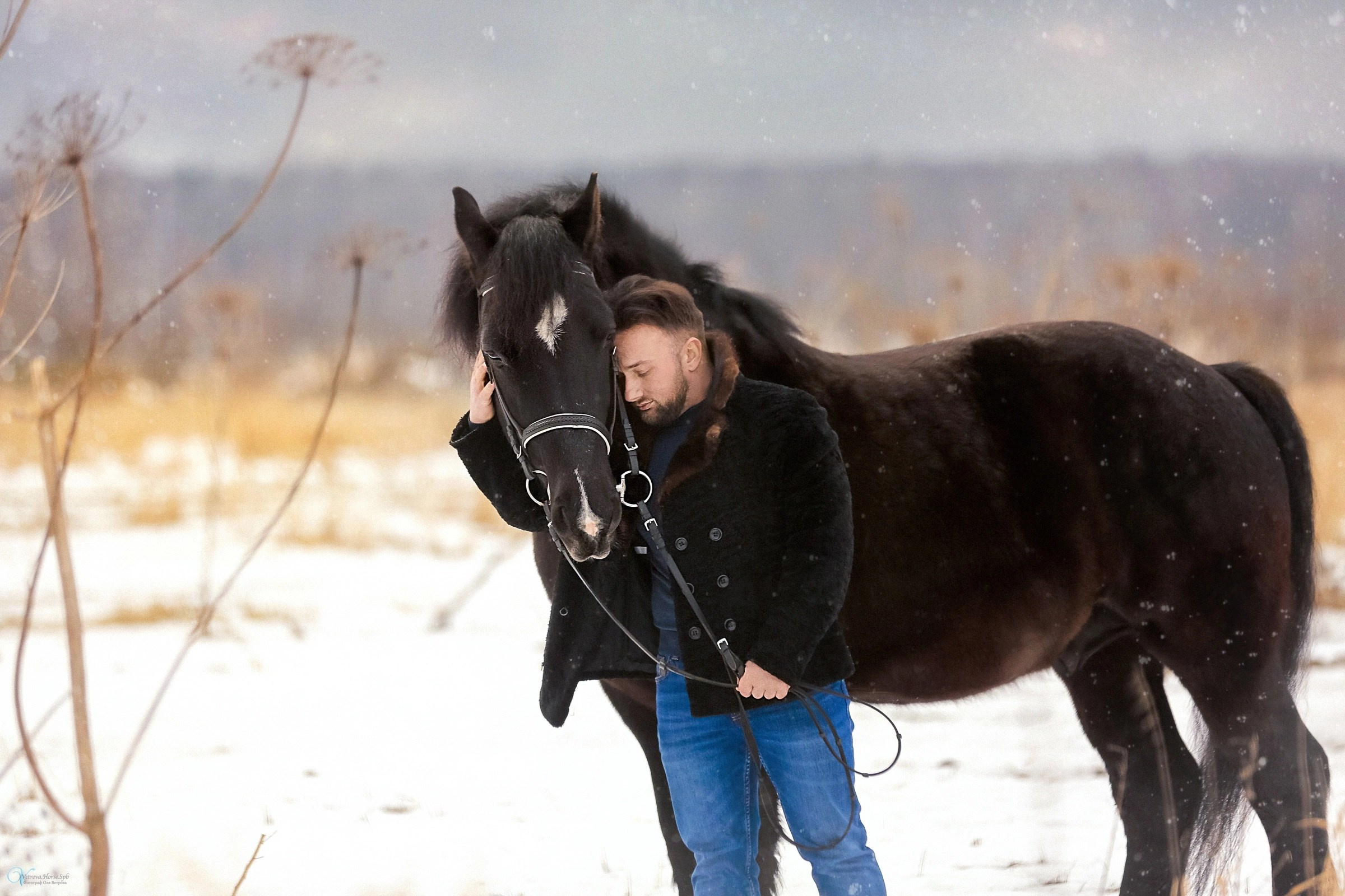Фотосессии с лошадьми зимой. Фотограф женский и мужской портрет Санкт-Петербург
