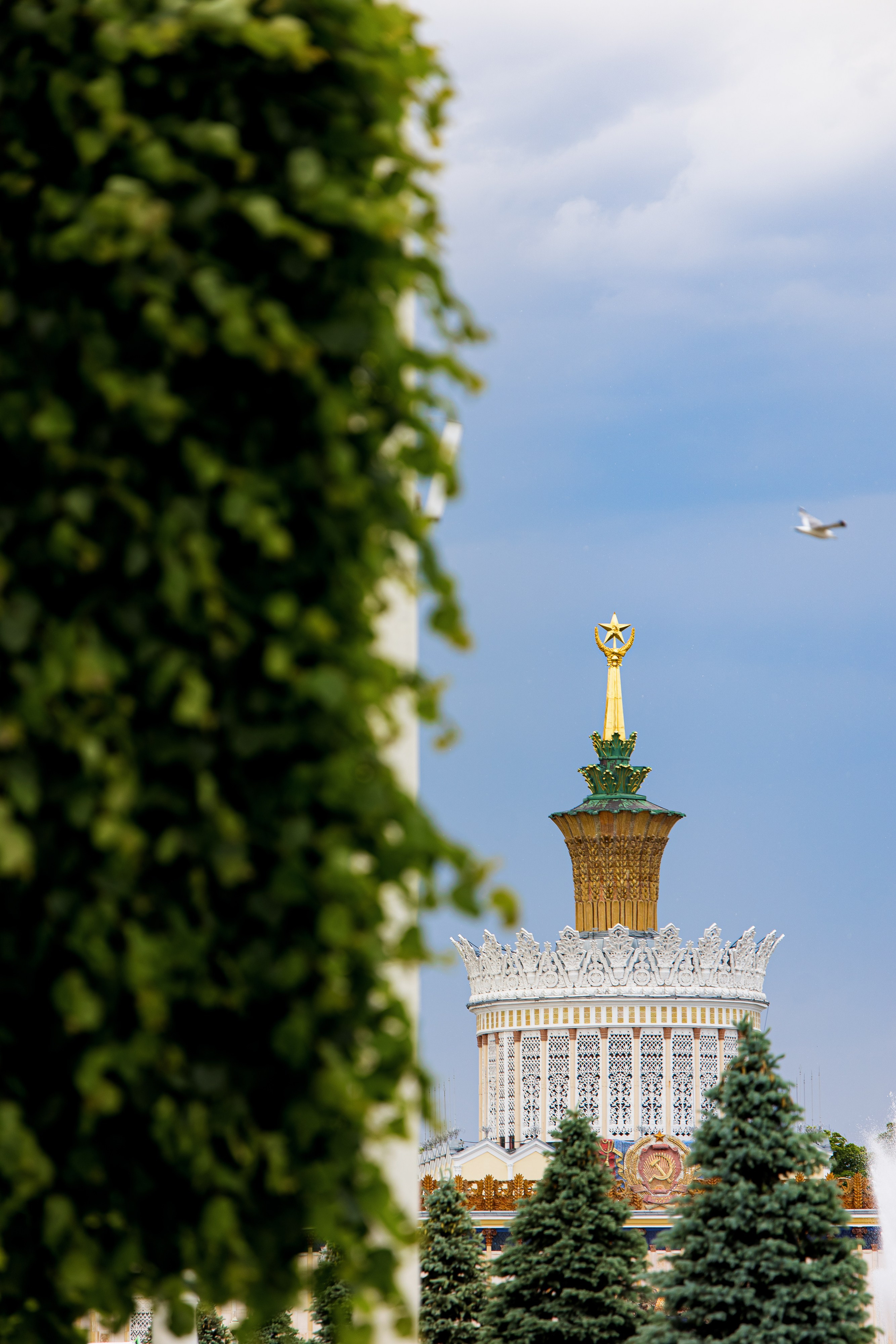 ВК Сферум | Фестиваль «Движение первых». Репортажный фотограф Семён Борисов | Москва