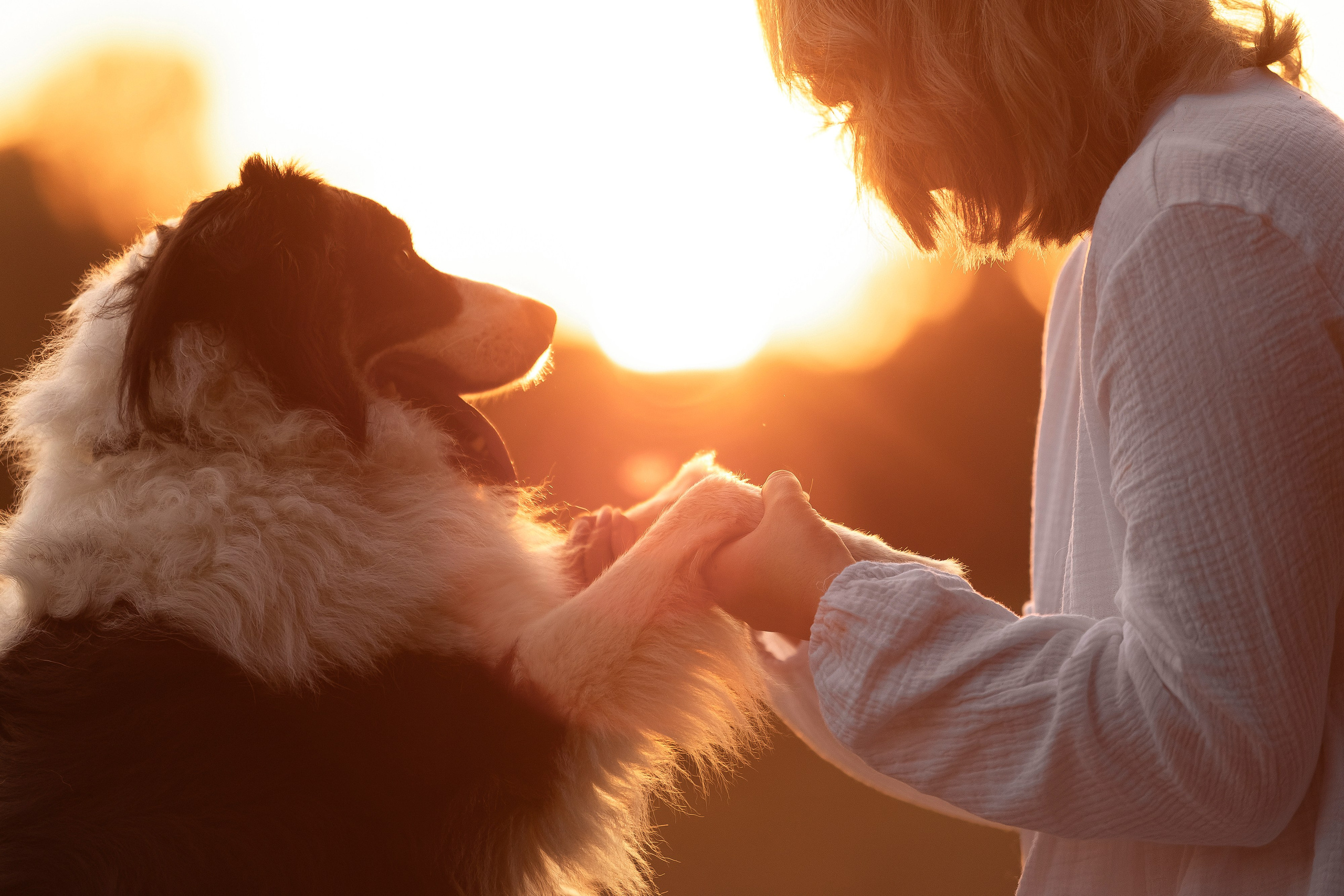Вольт и Наташа. Семейный и свадебный фотограф в Москве Леванова Александра