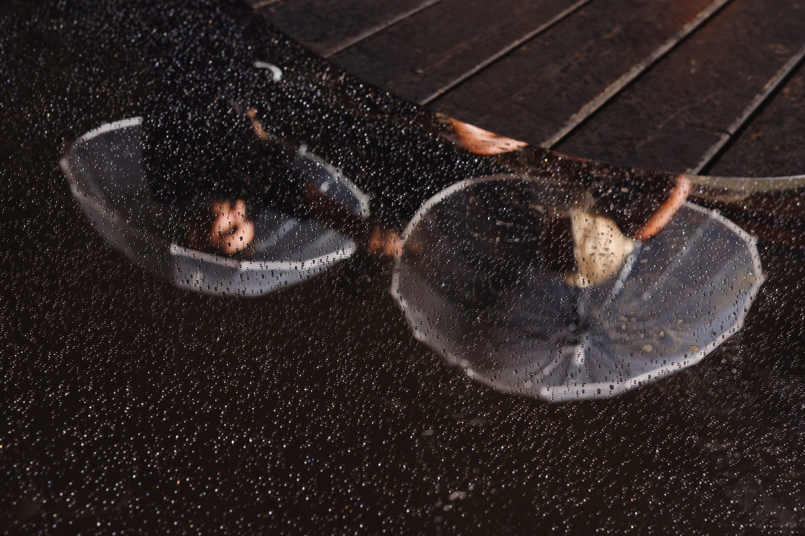 Виктор и Яна. Фотограф Елена Маринина Москва