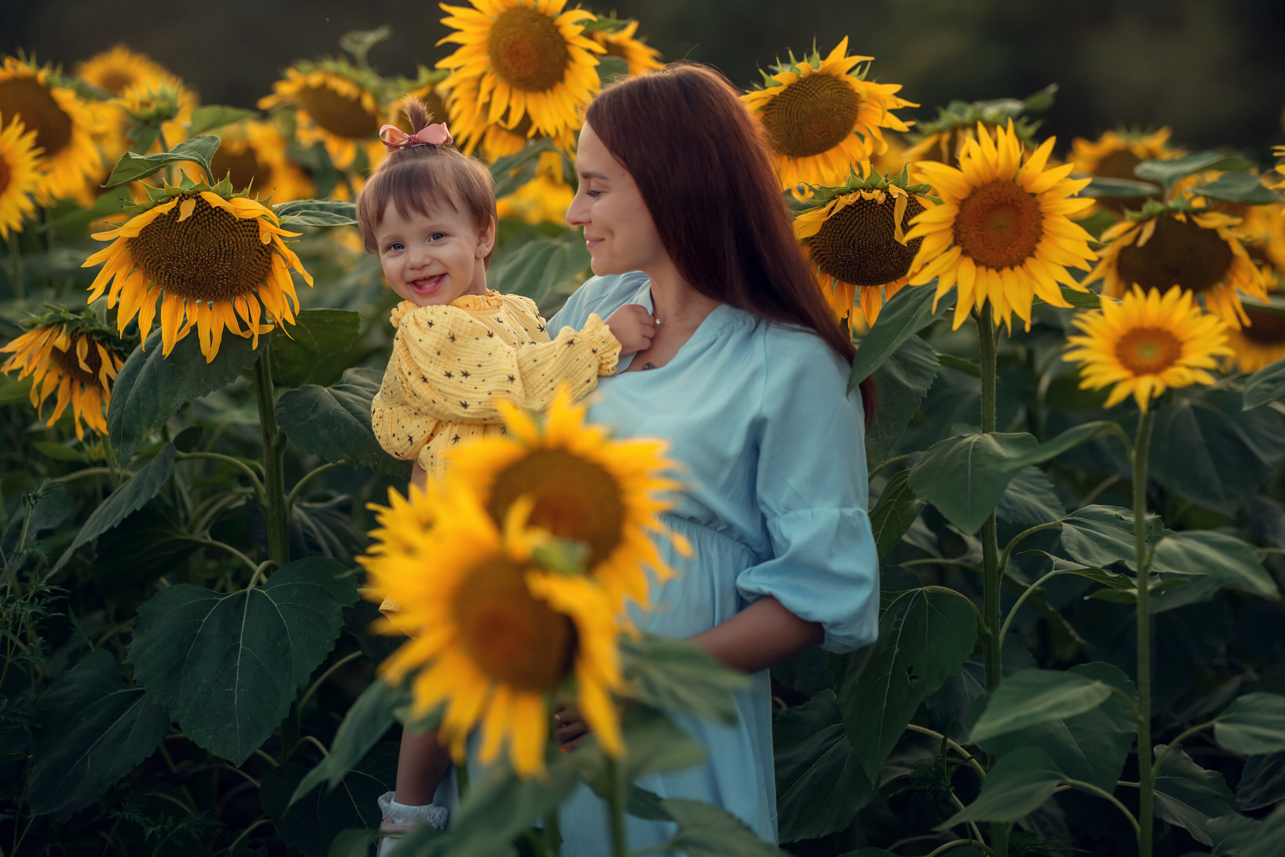Подсолнухи. Семейный и детский фотограф Екатерина Савёлова