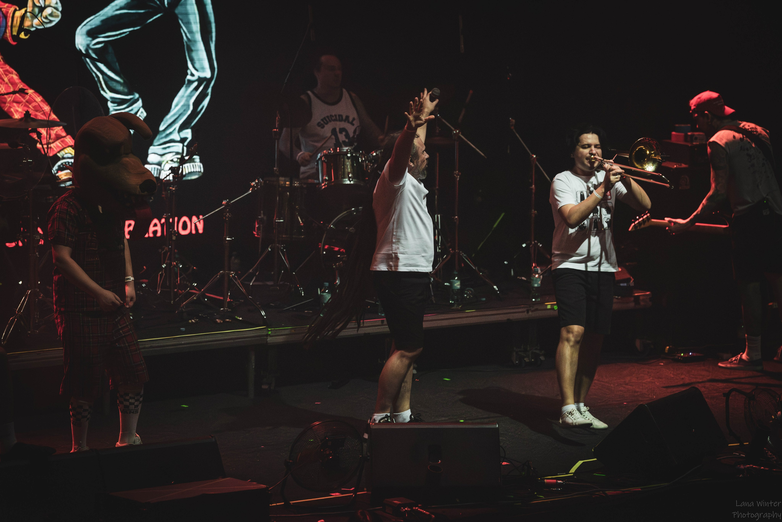 Distemper (4 января 2026 года, Москва, клуб Base). Фотограф Светлана Блинова, Москва и Московская область