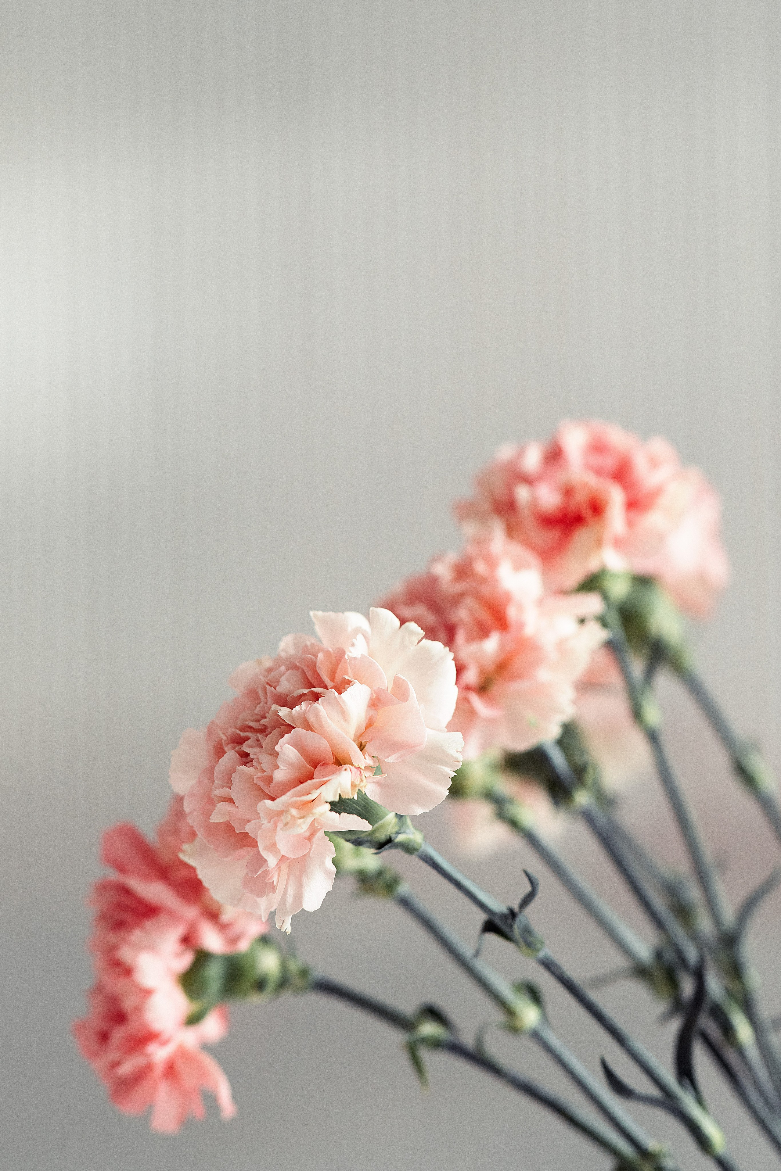 Anastasia. Wedding inspiration. Свадебный фотограф Ростов-на-Дону Виолетта veslers.ph