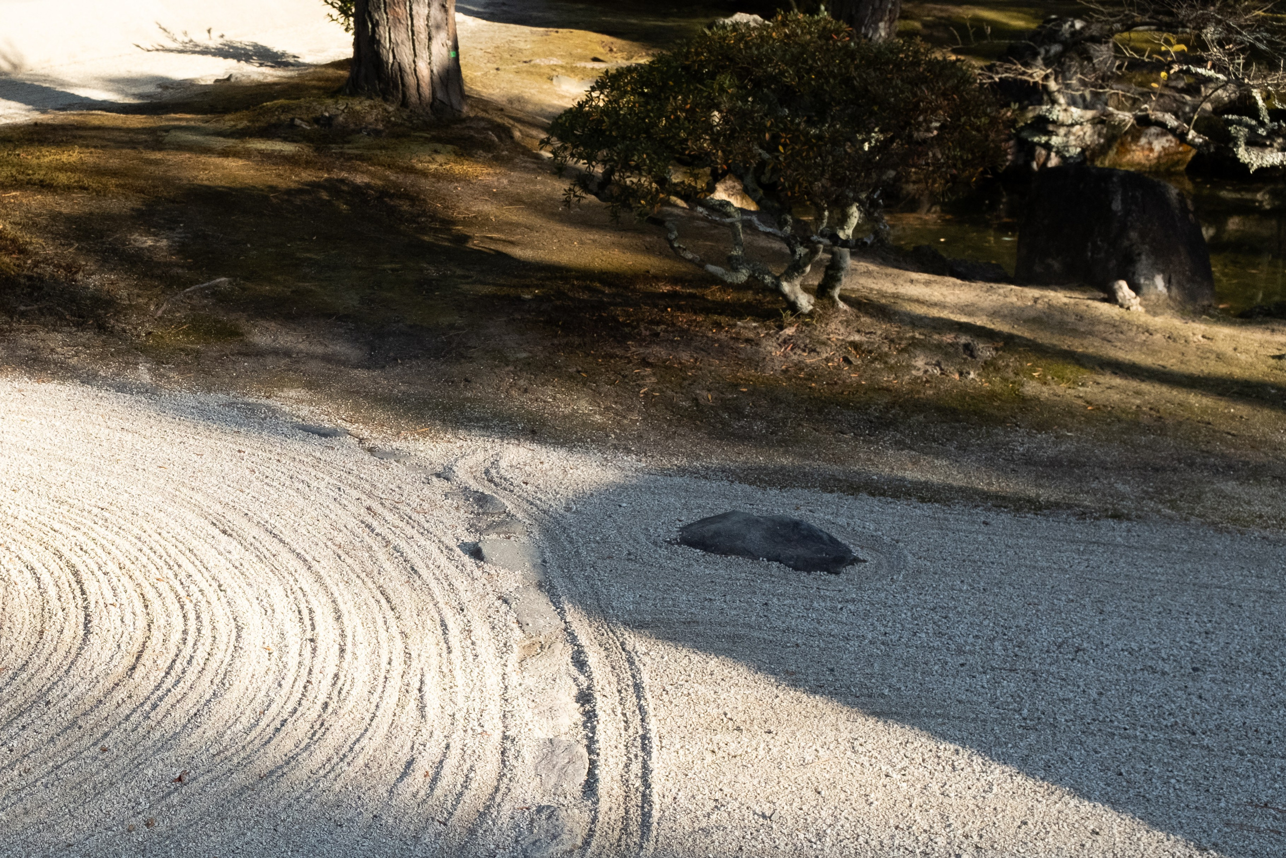 Nature. Regina Platonova