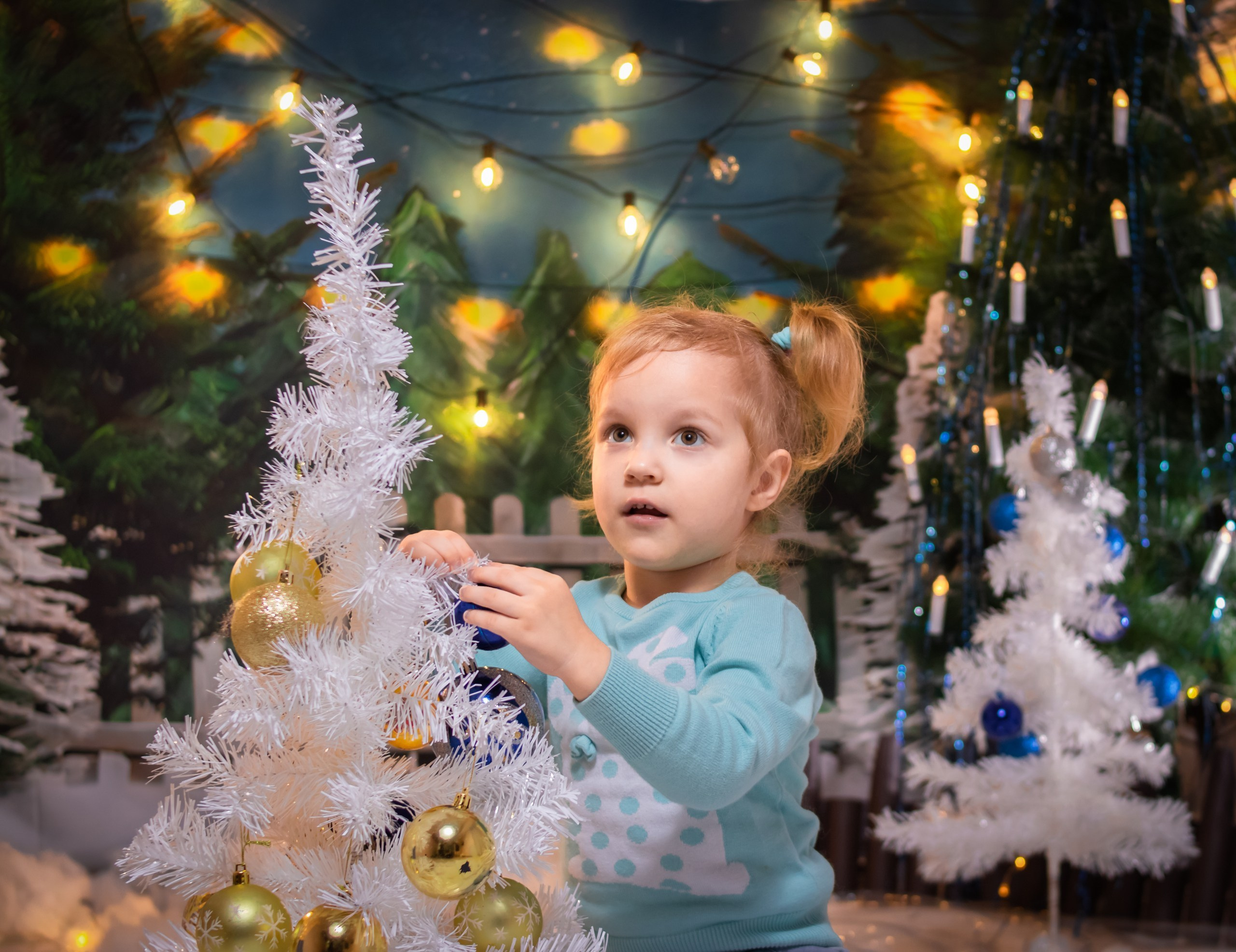 НОВОГОДНИЕ. Фотосалон Рудня. Волгоградская область. Фотограф Вера