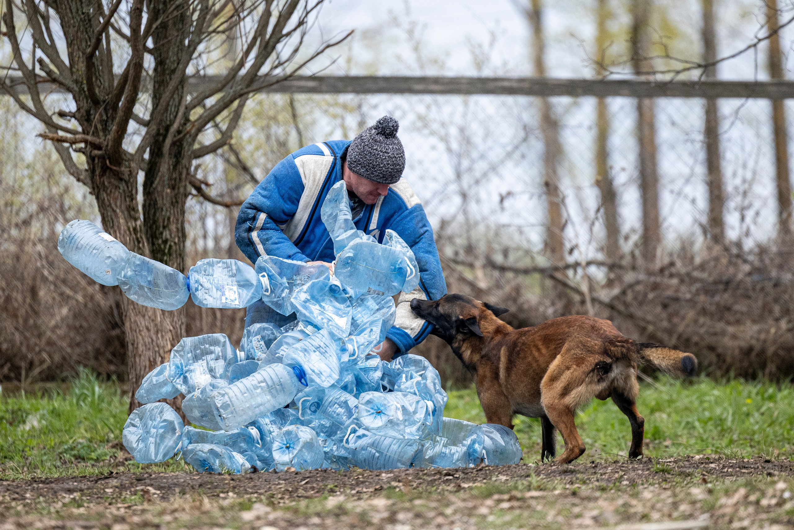 Квалификационные состязания по мондьорингу г. Вологда 11.05.24. Фотограф-анималист Анна Маринич