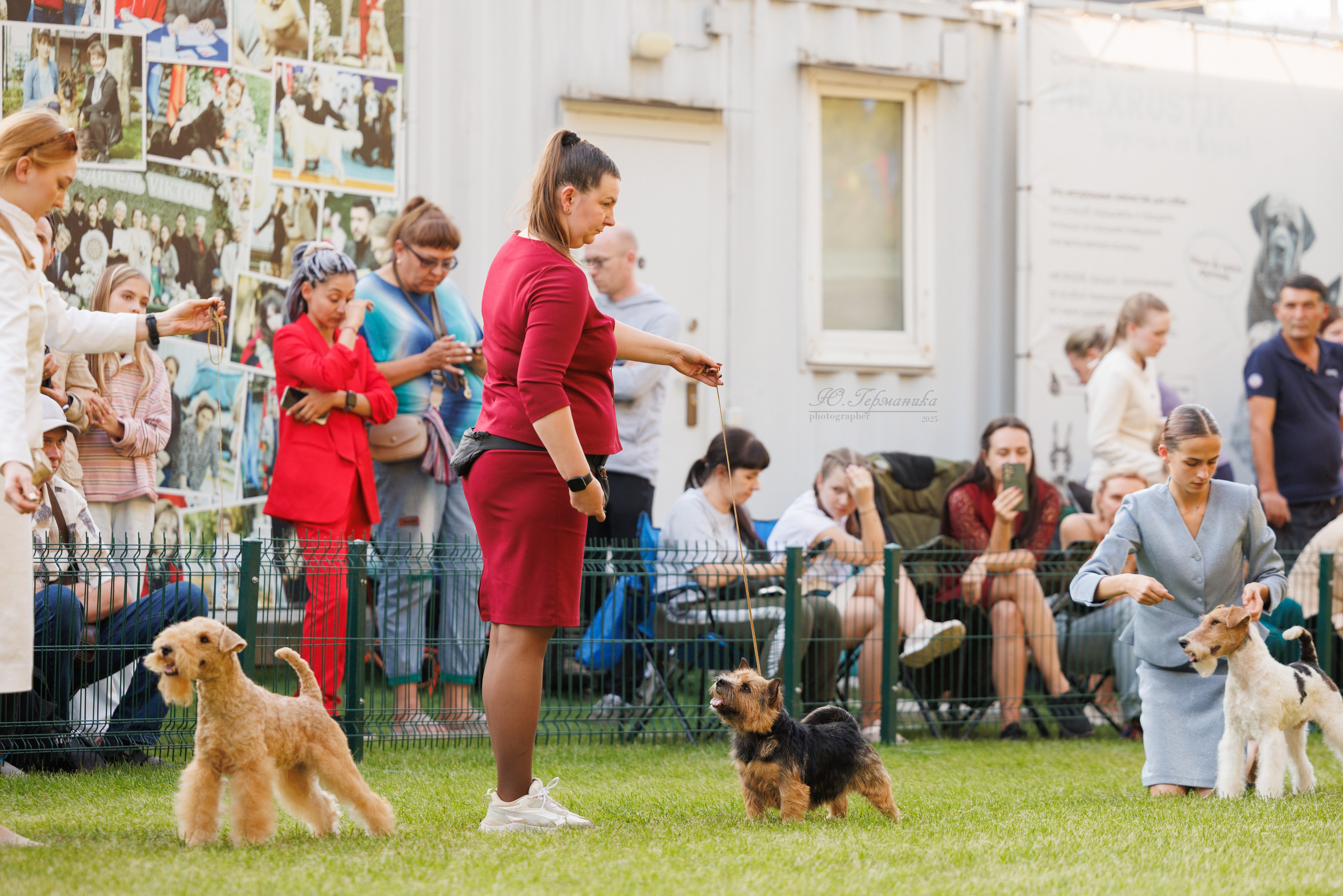 Бишкек 3х CACIB 26-28.09.2025. Фотограф-анималист Юлия Германика