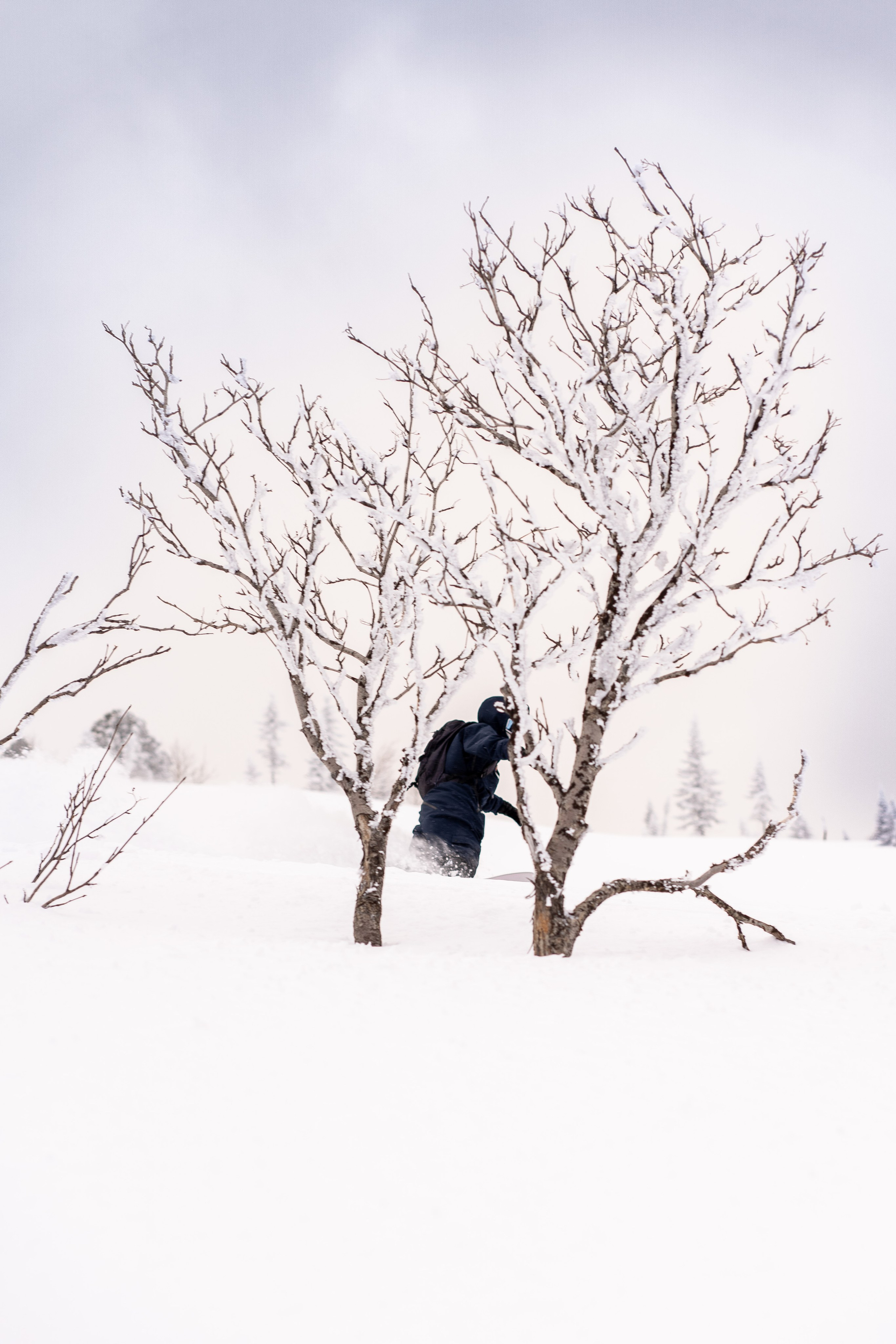 Фрирайд. Анастасия Паршукова — фотограф Шерегеш Новосибирск