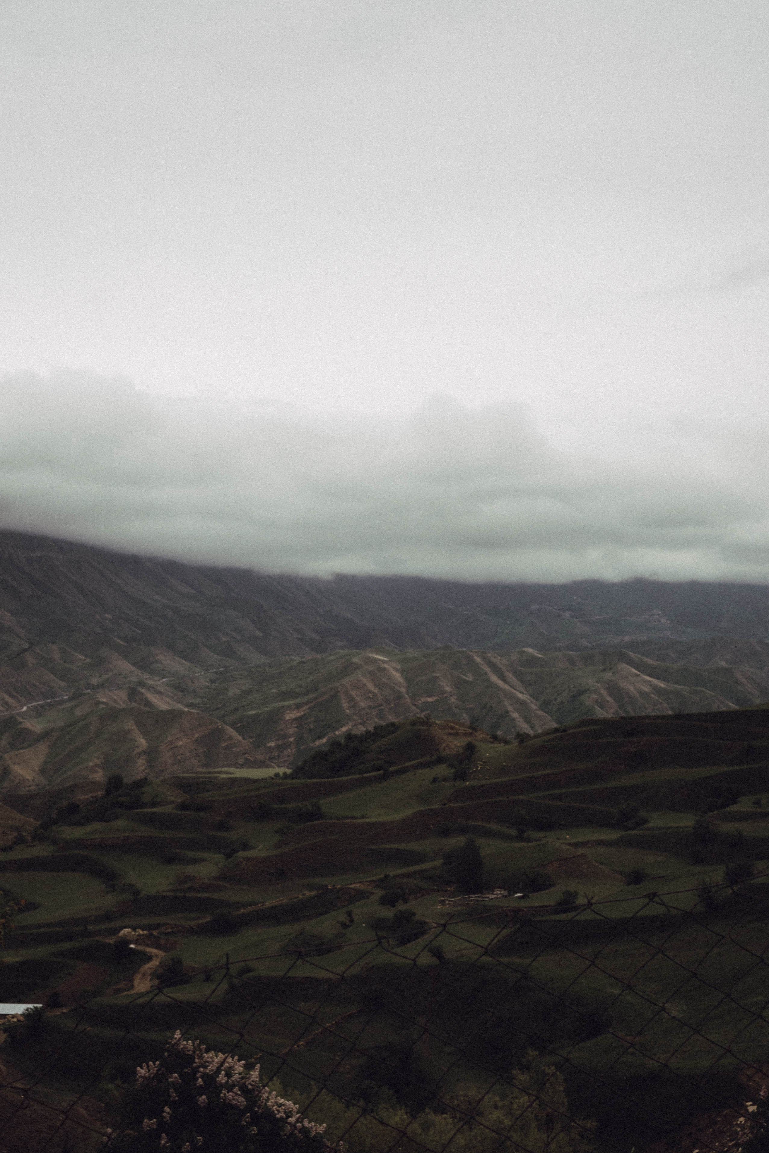 Кавказ. Профессиональный фотограф, Санкт-Петербург — Виктория Богомолова