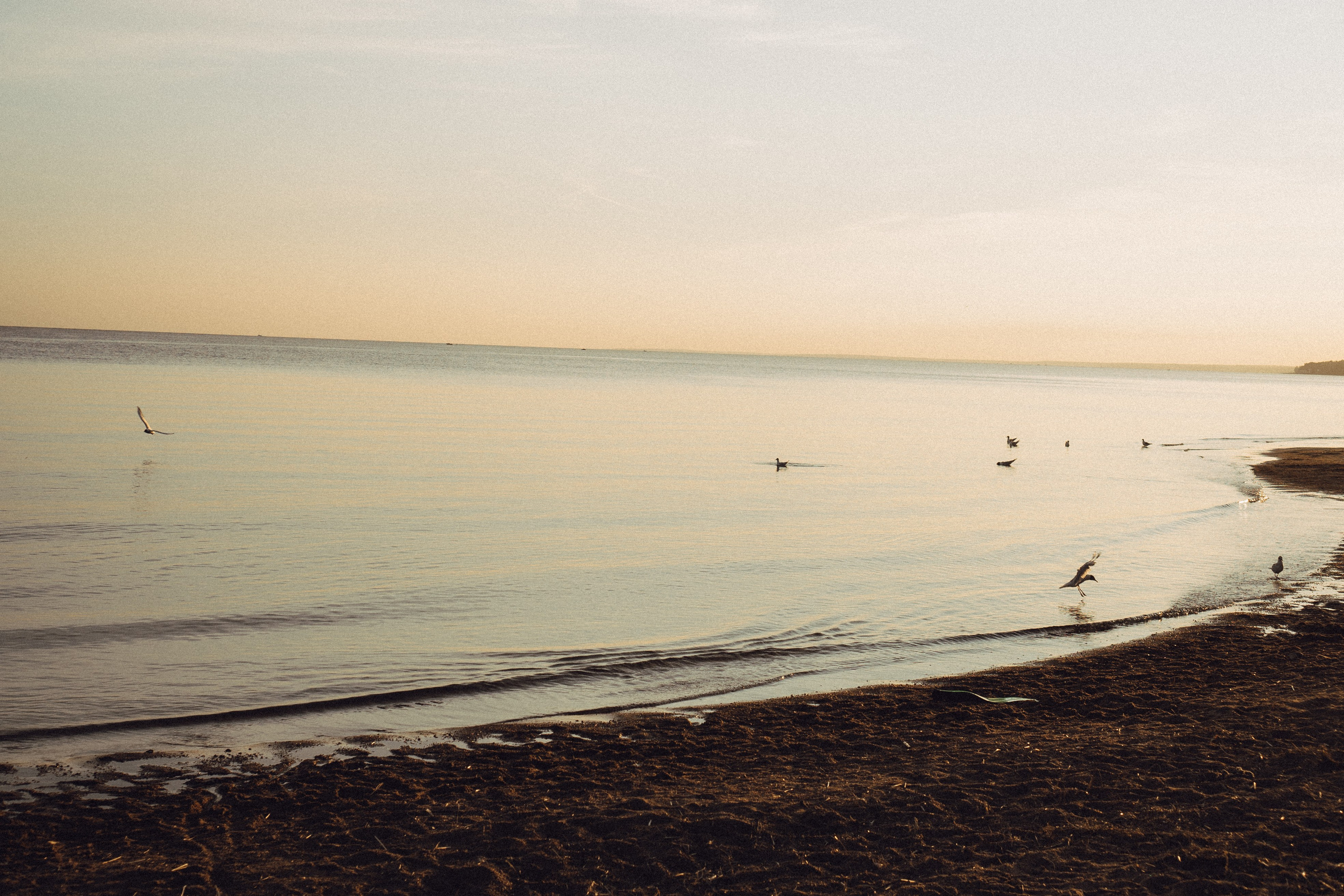 В ОЖИДАНИИ. Профессиональный фотограф, Санкт-Петербург — Виктория Богомолова