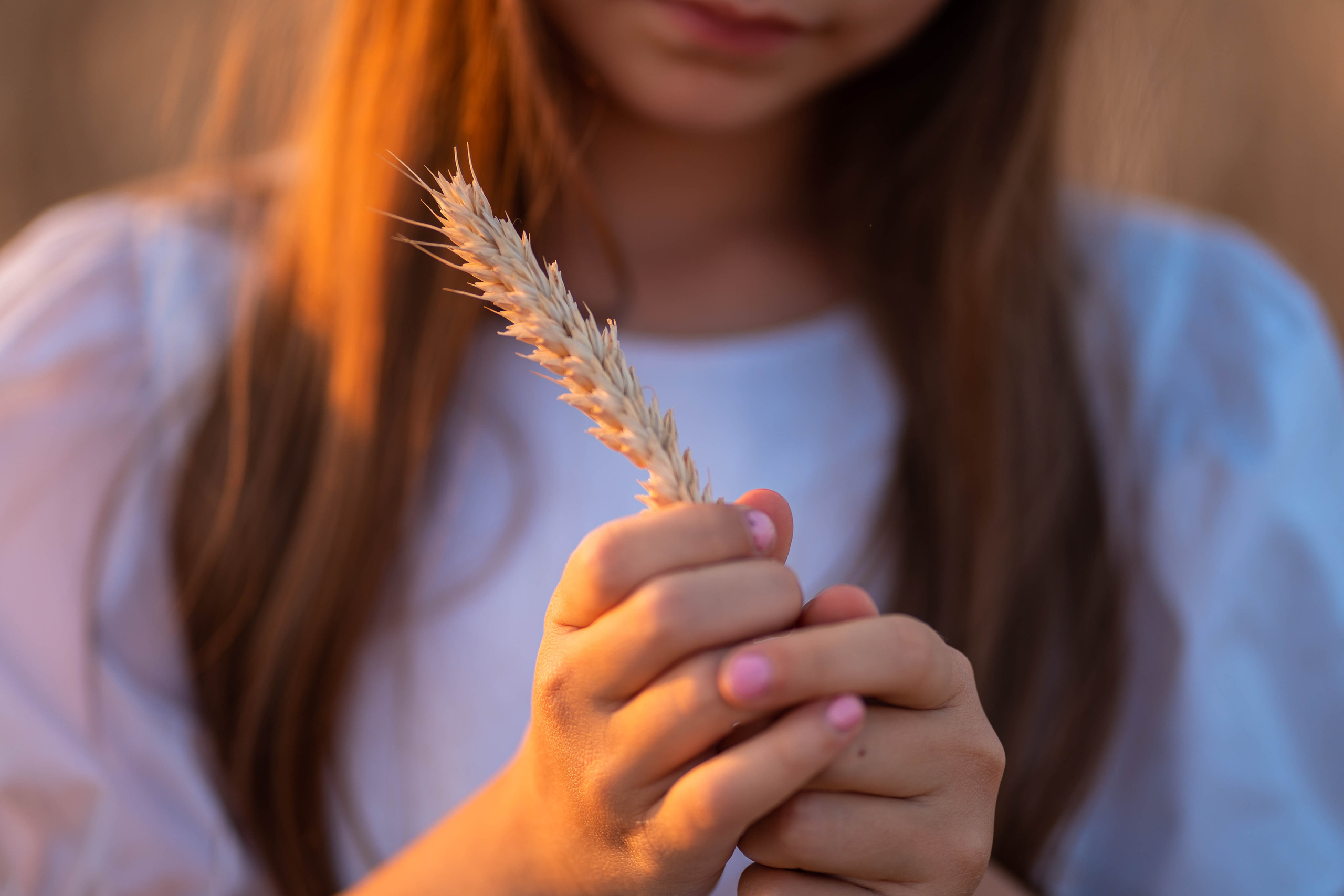 Фотосессия в пшенице Алёнушки. Семейный и детский фотограф в Ростове-на-Дону Екатерина Шевченко