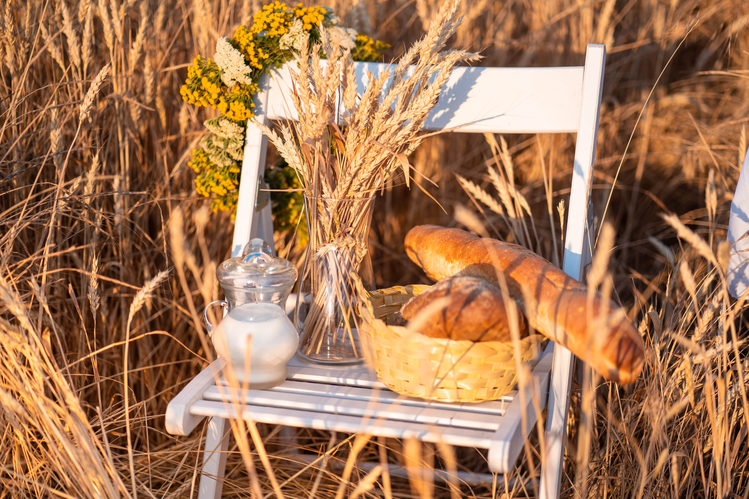 Фотосессия в пшенице Алёнушки. Семейный и детский фотограф в Ростове-на-Дону Екатерина Шевченко