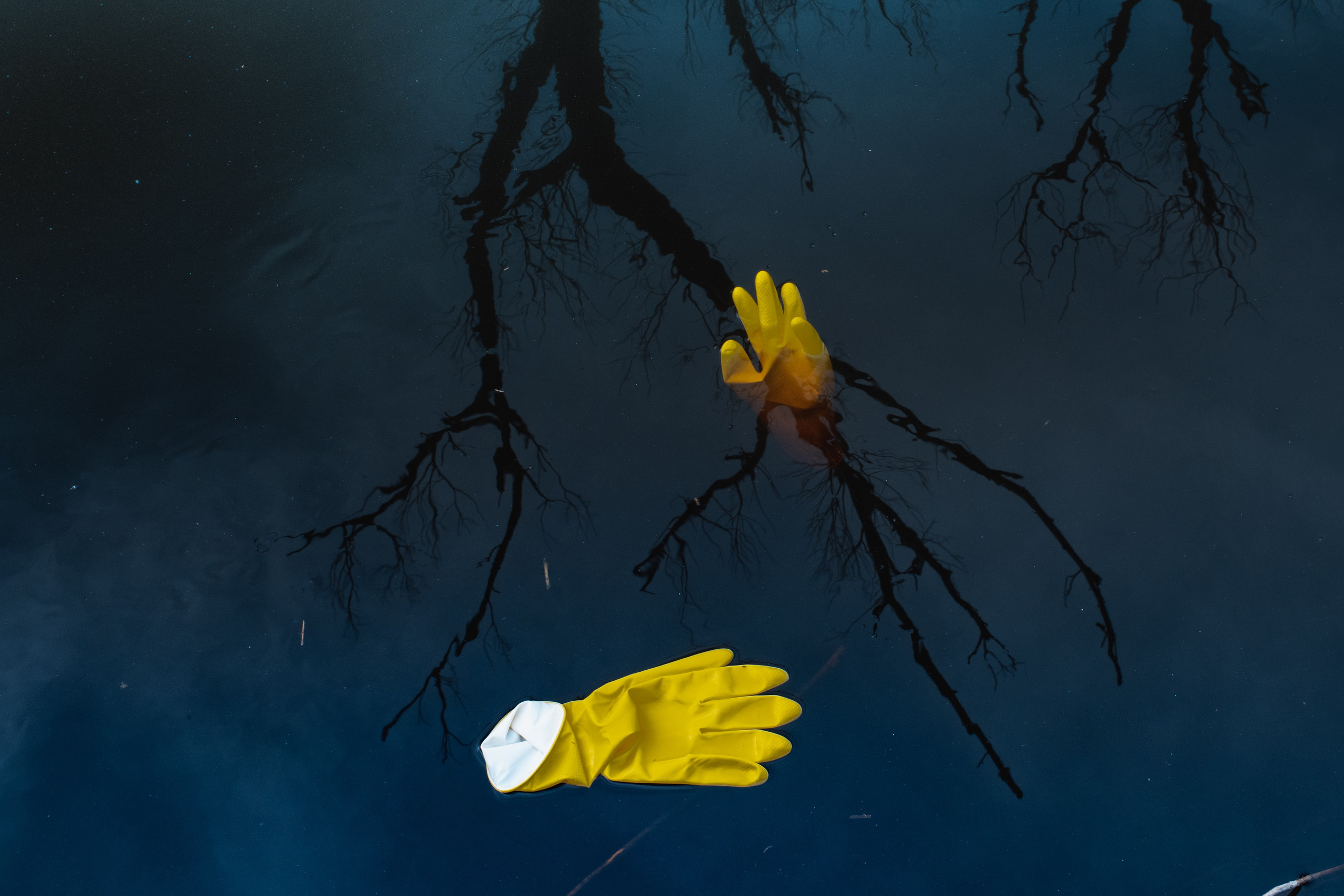 The Expiration Date. ALEXEY KRYLOV | Photography