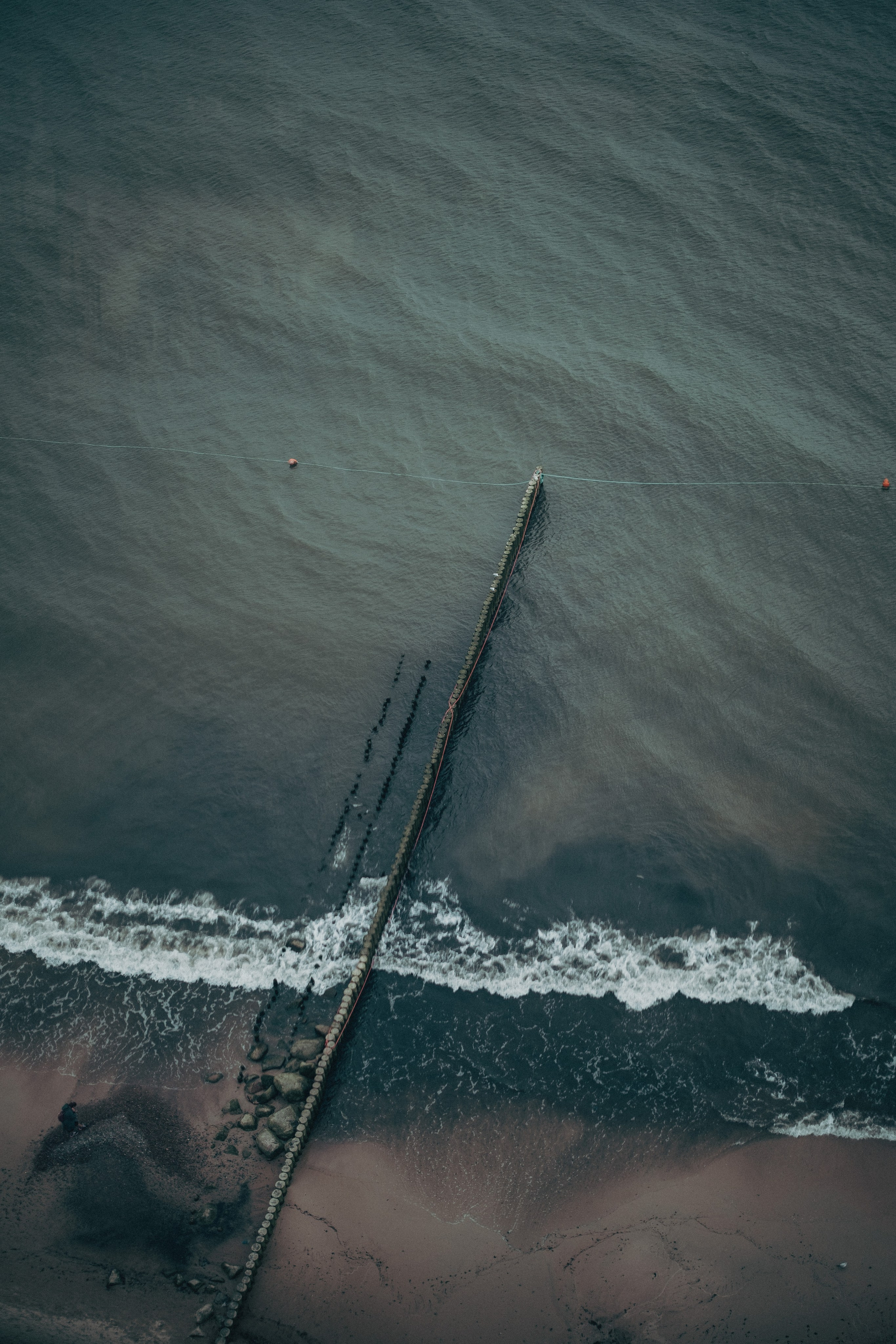 Other. Dmitry Ippolitov