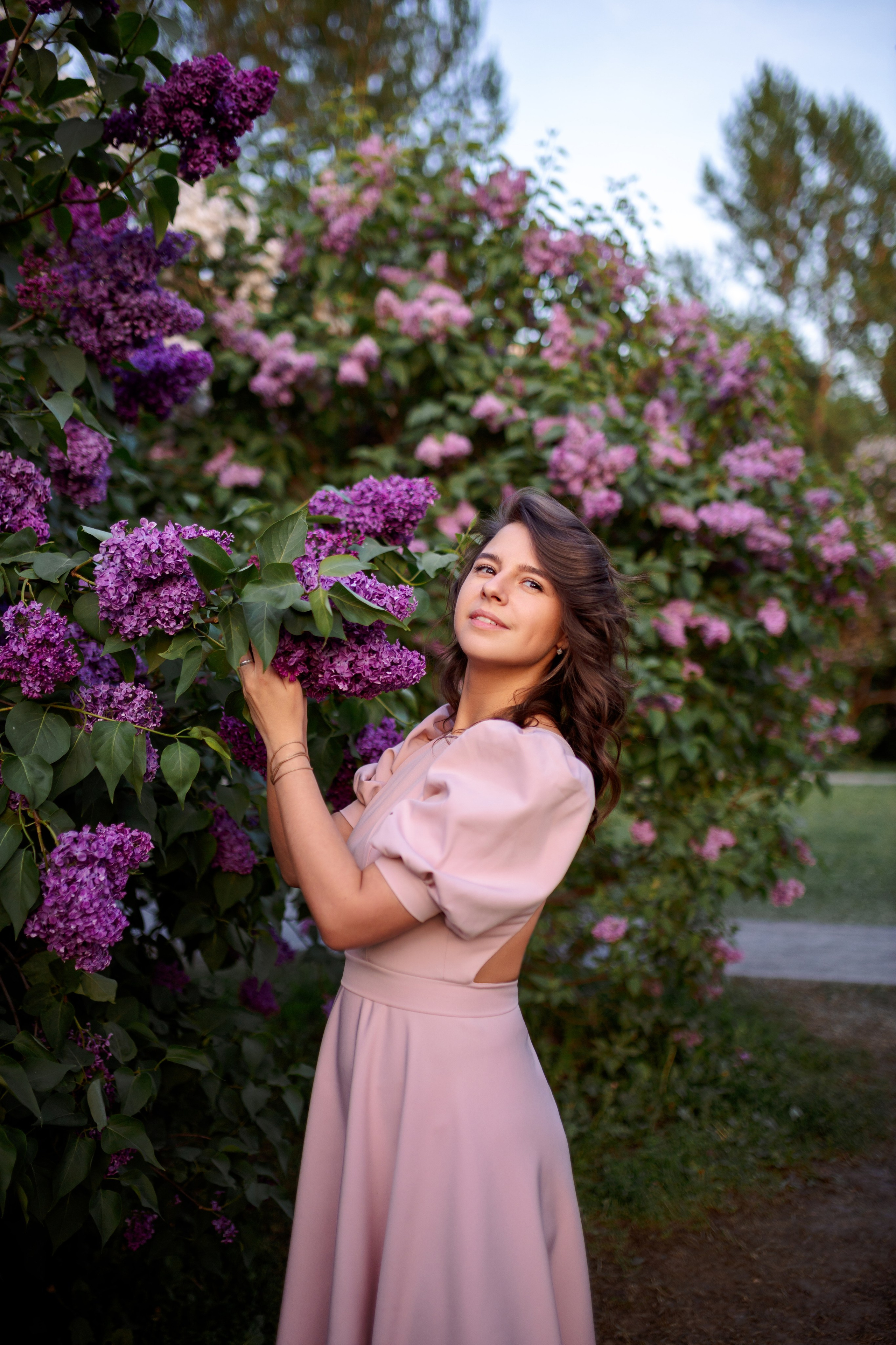 Цветение в сиреневом саду. Главная