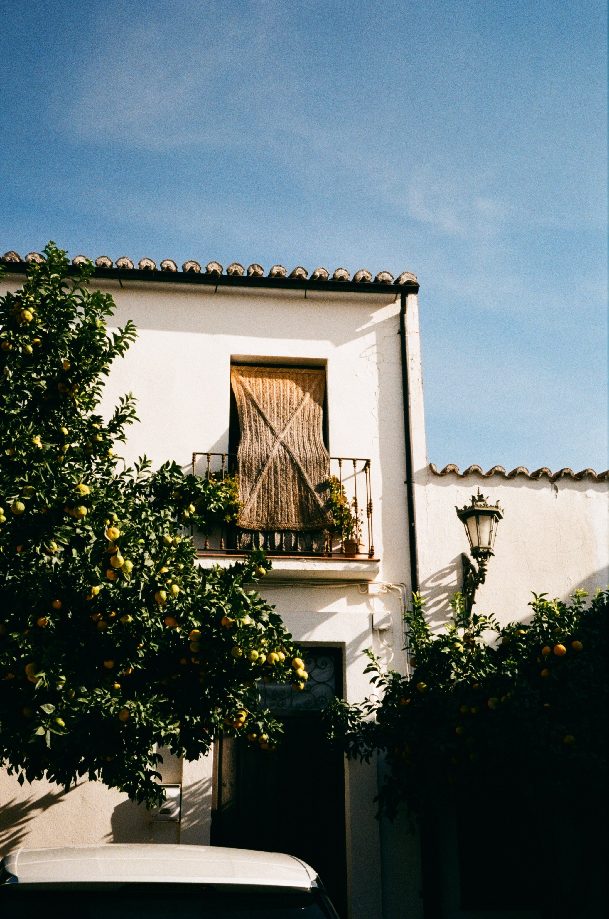 Spain. Regina Platonova