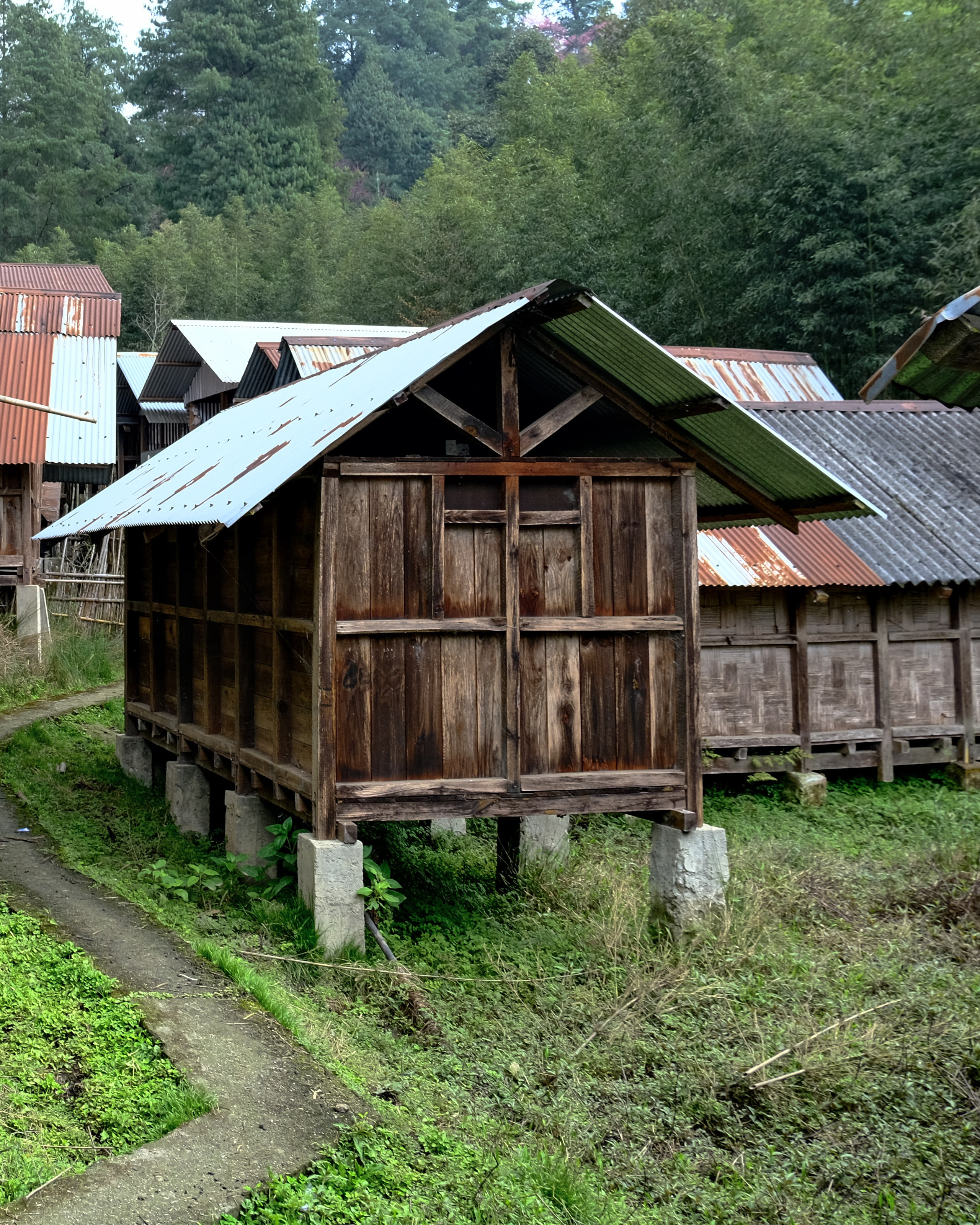 Жертвоприношение. Фотографии из путешествий