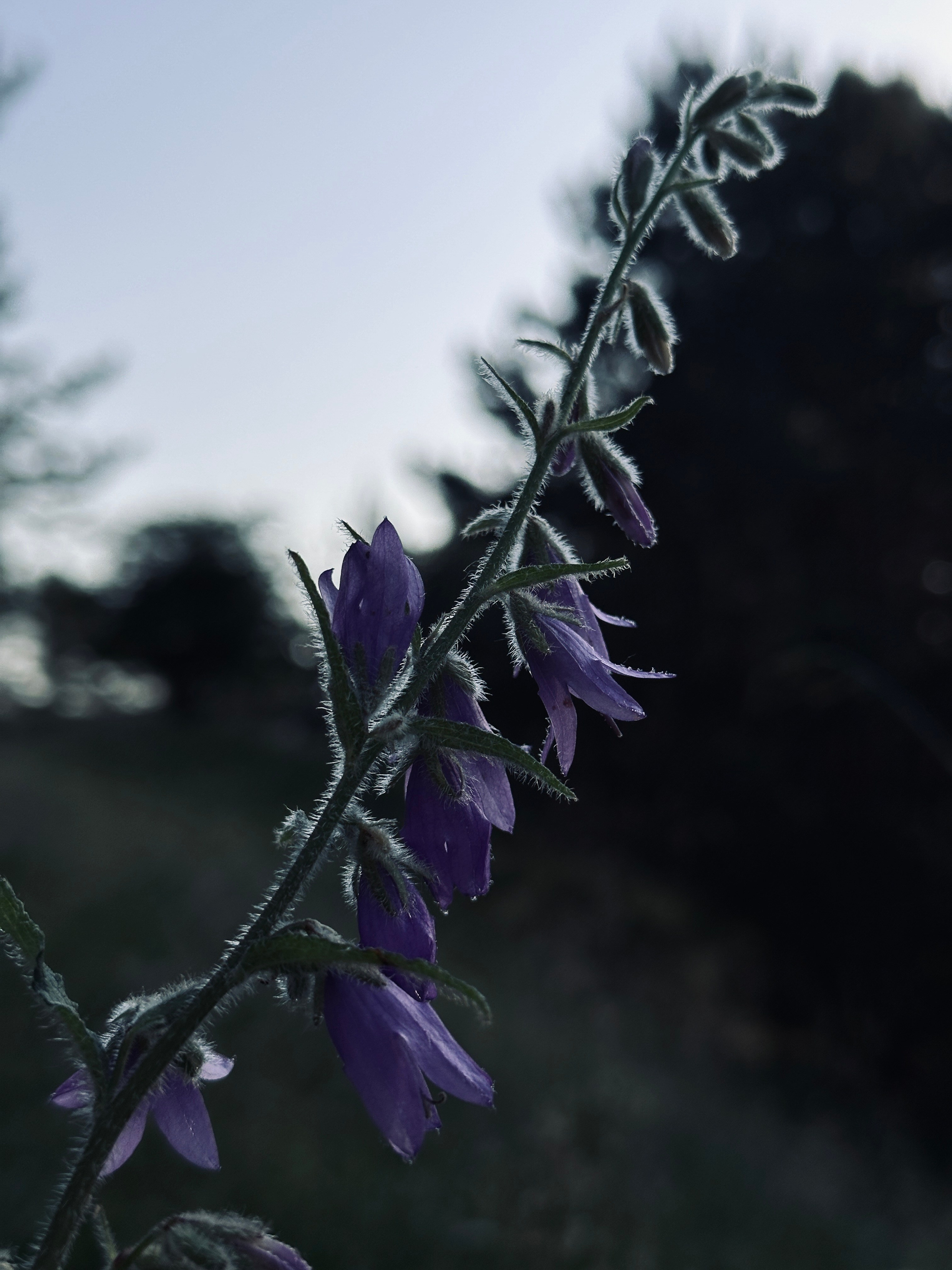 Флора и фауна. Смотри, красота!