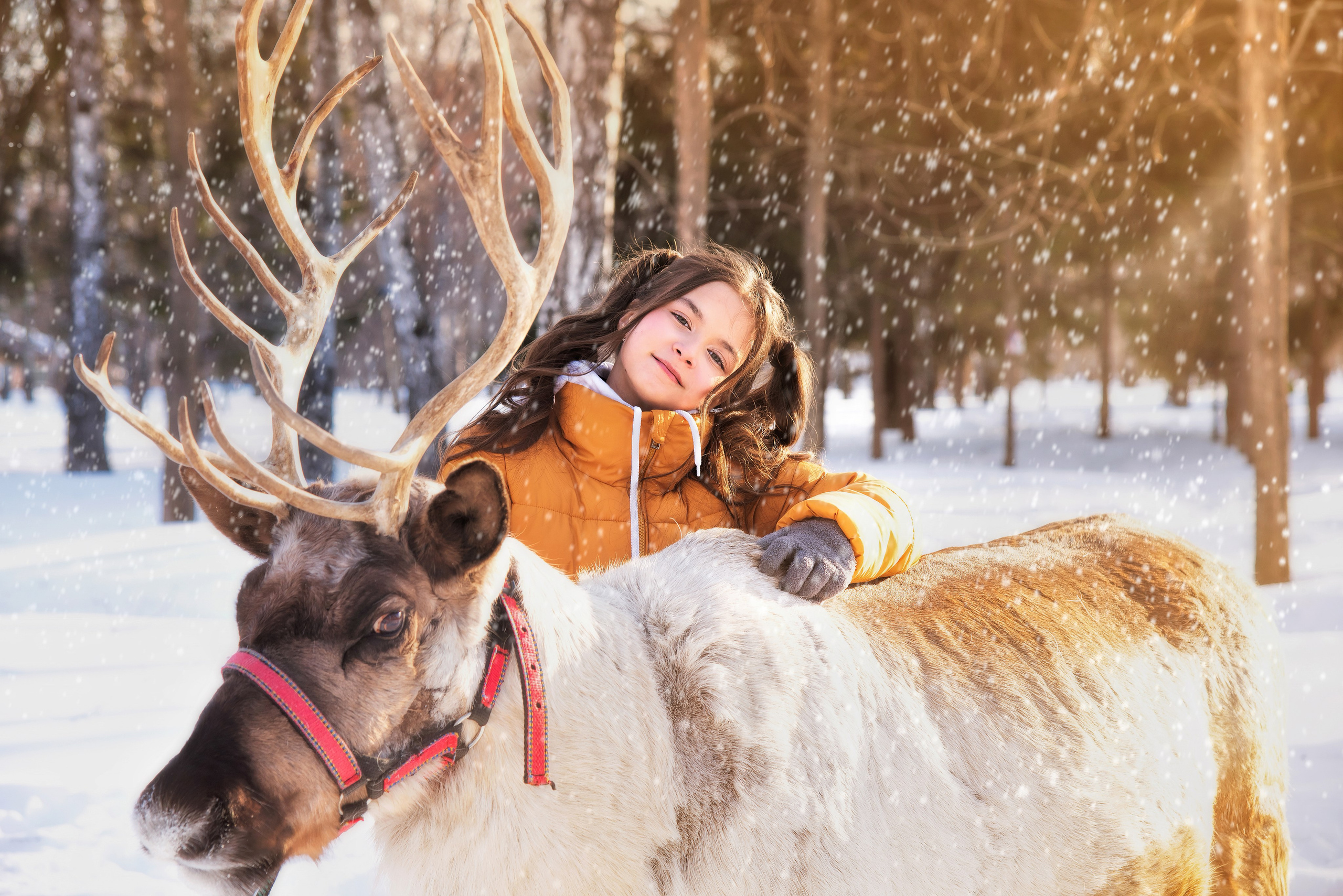 Новогодние фотосессии. Фотограф Ольга Огнева г. Новосибирск