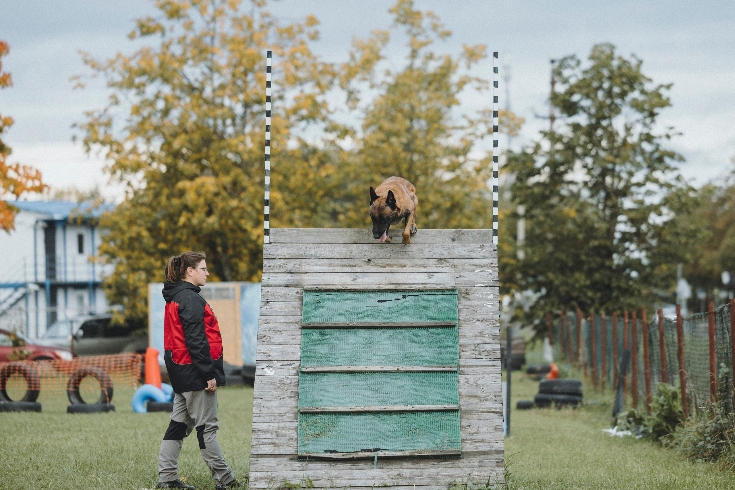 Испытания по мондьорингу г. Пушкин 29.09.2024. Фотограф-анималист Анна Маринич