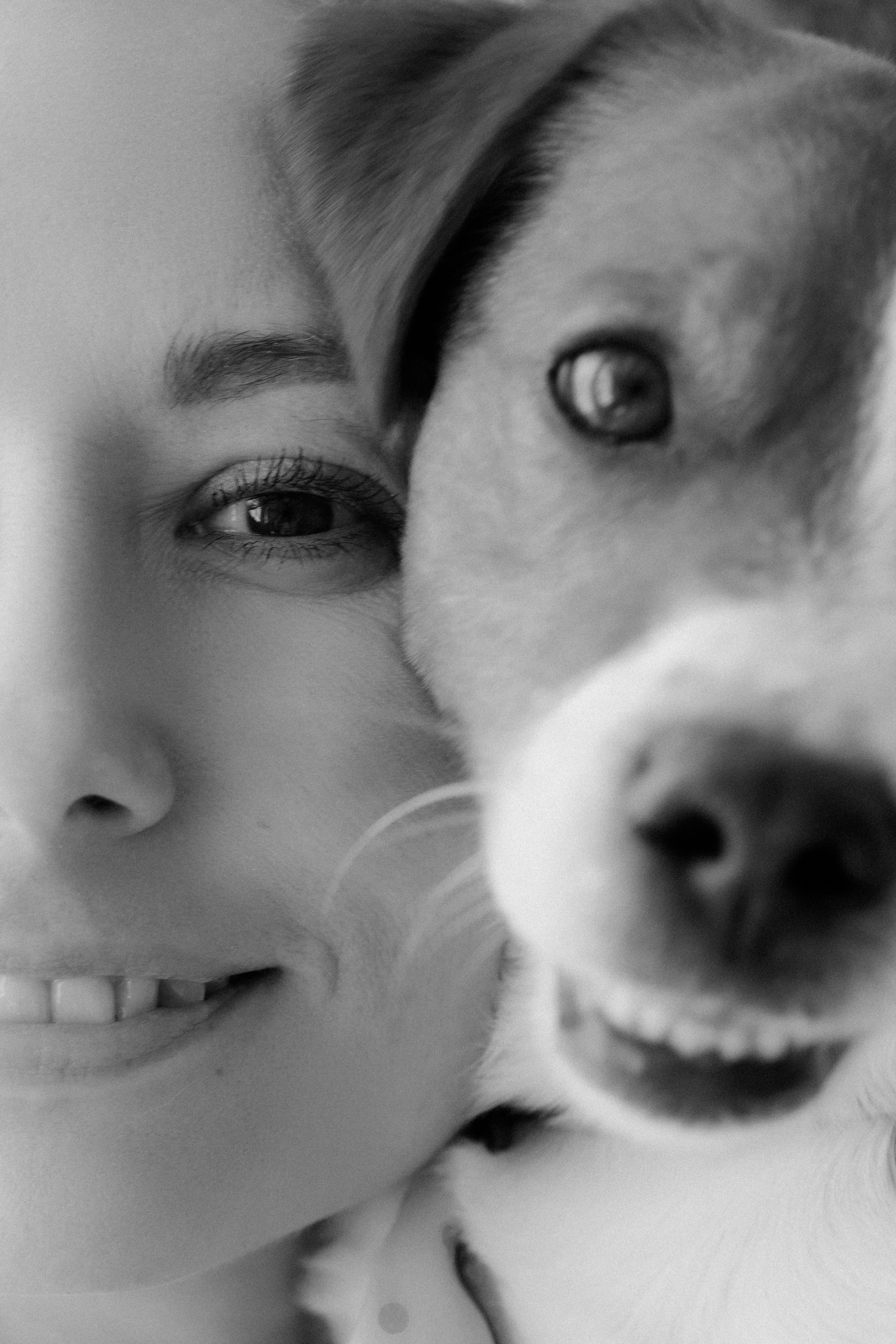 Счастье имеет хвост и мокрый нос. Свадебный и семейный фотограф в Перми Дергачева Кристина