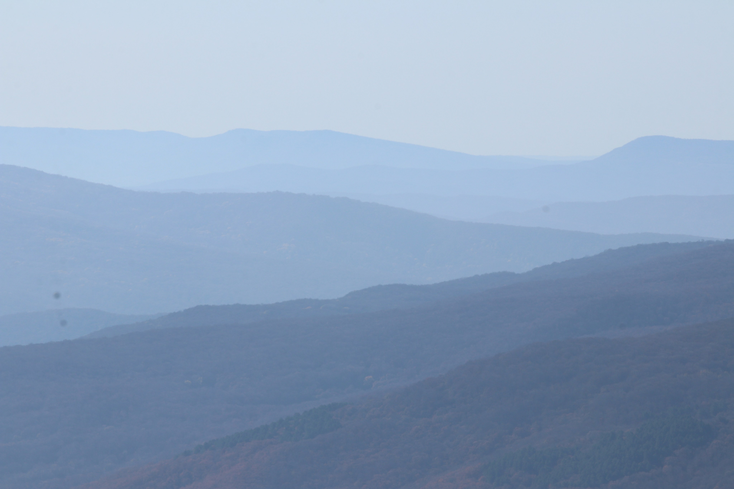 Крым. ЮБК (Гурзуф, Судак и их окрестности). Ноябрь 2023. Путешественник-фотограф из Санкт-Петербурга Татьяна Свистулина