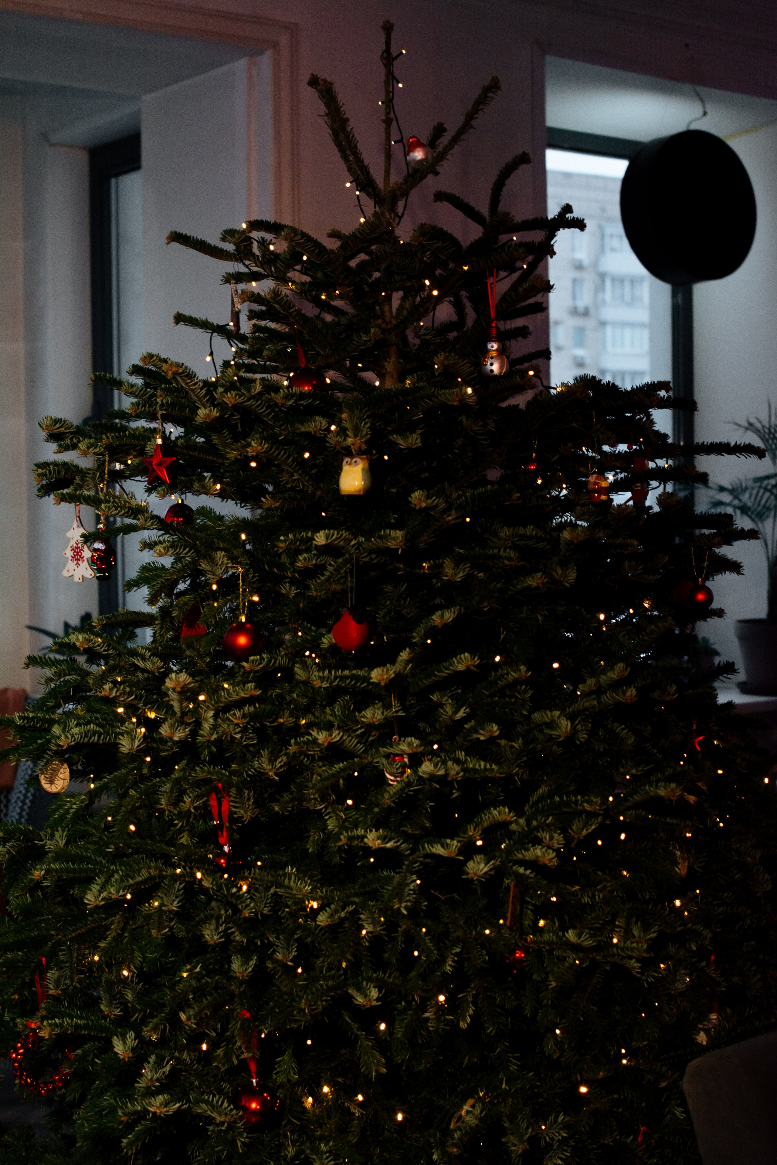 Дегустация-карнавал 2023 г. Портретный и репортажный Фотограф в Москве Александра Комарницкая