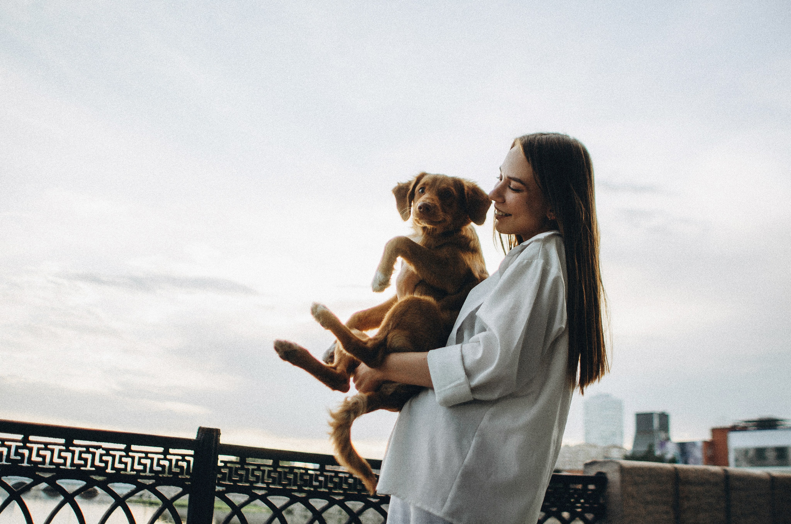 Вика и Хардин. Фотограф-анималист Богданова Полина