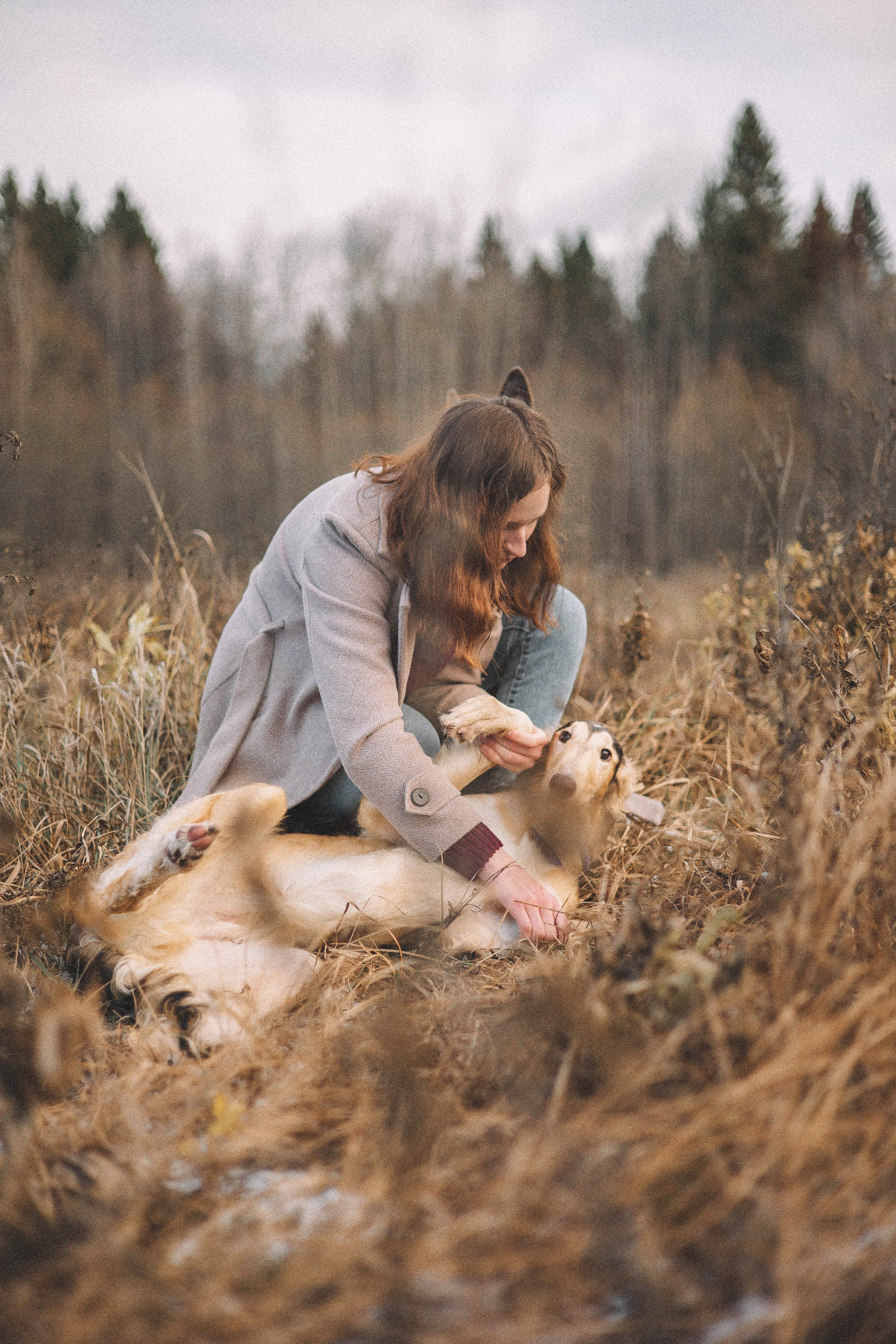 Алена, Леви и Микаса. Фотограф-анималист Богданова Полина