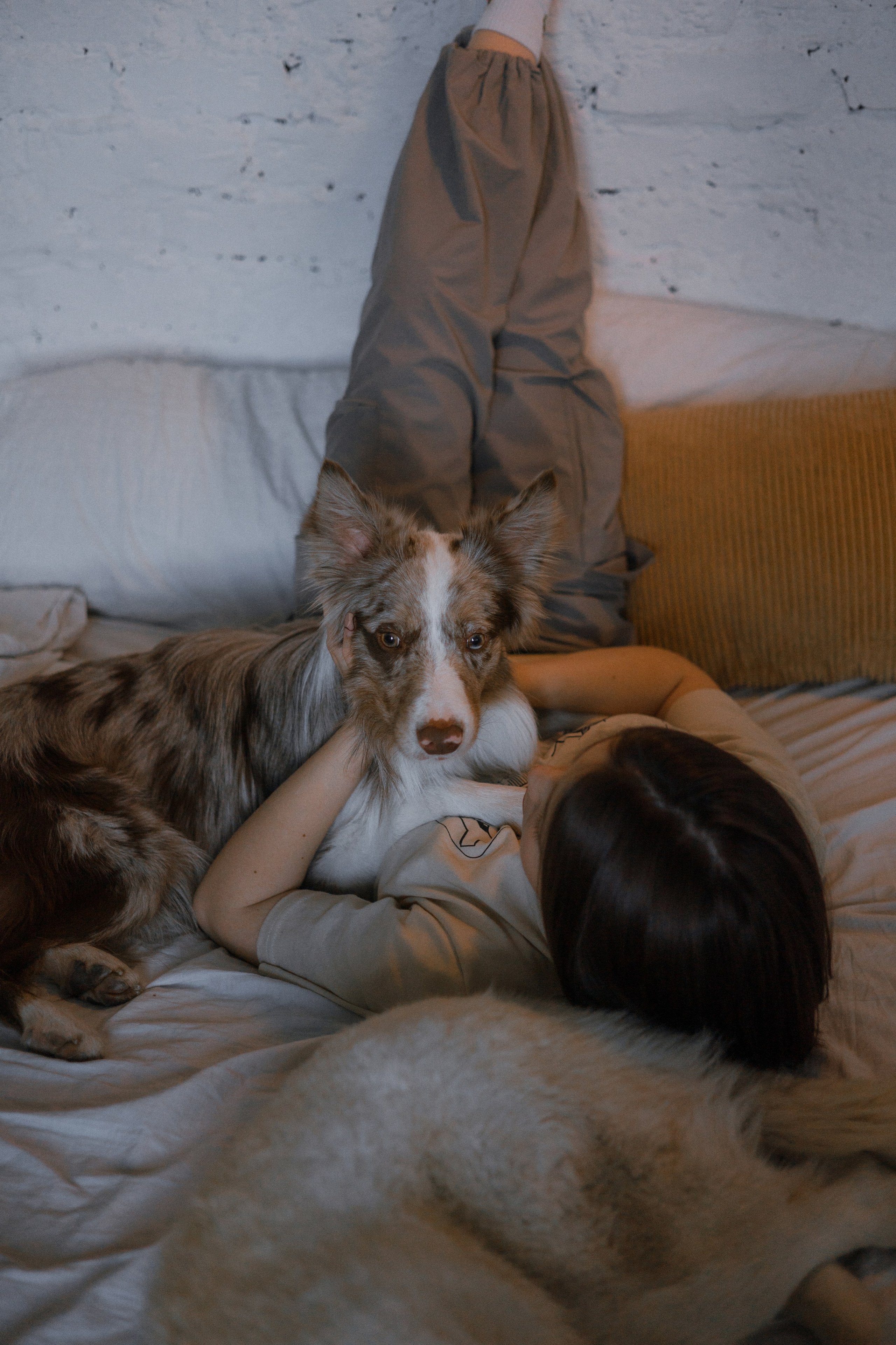Аня, Дэймон и Грэй. Фотограф-анималист Богданова Полина