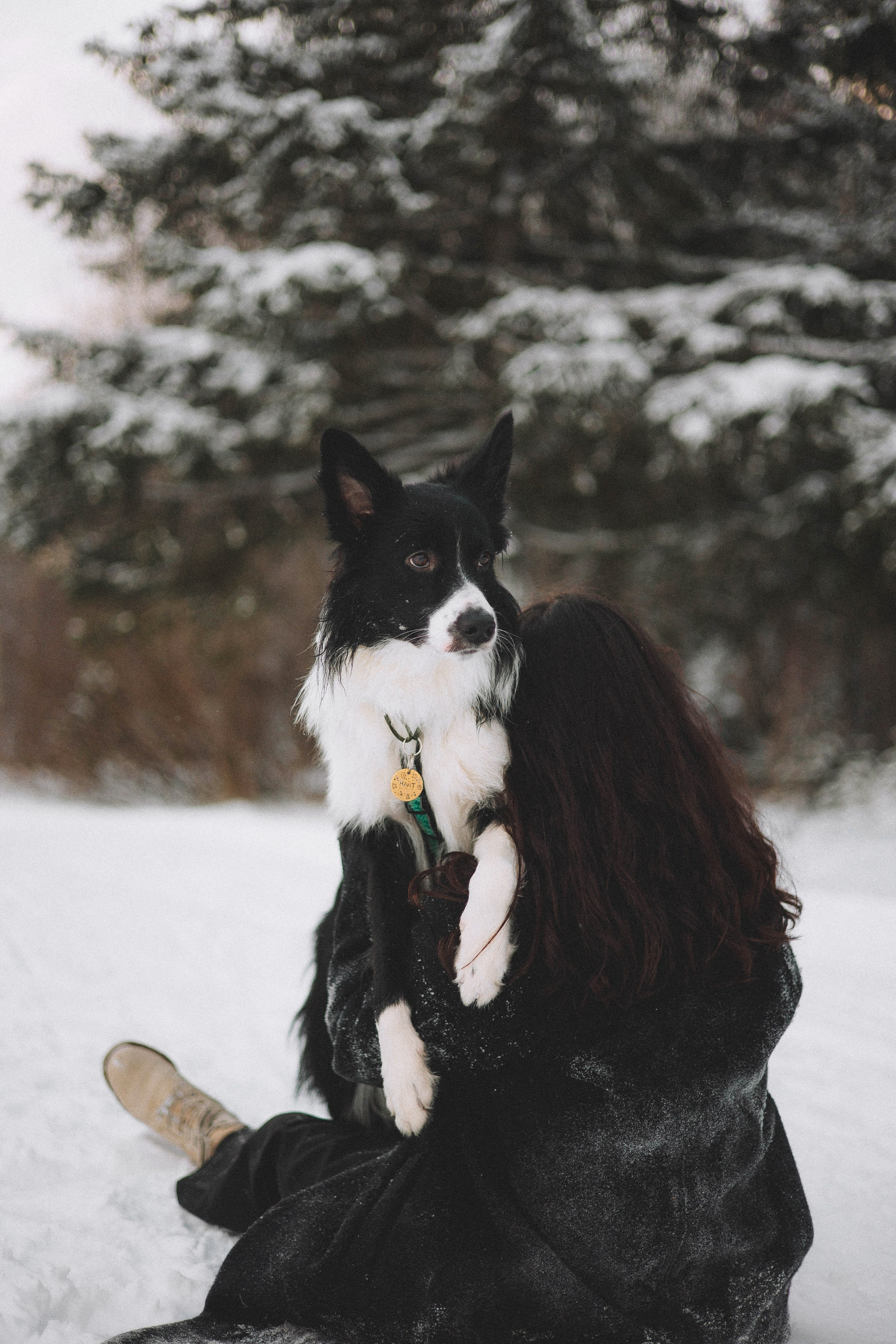 Алина и Найт. Фотограф-анималист Богданова Полина