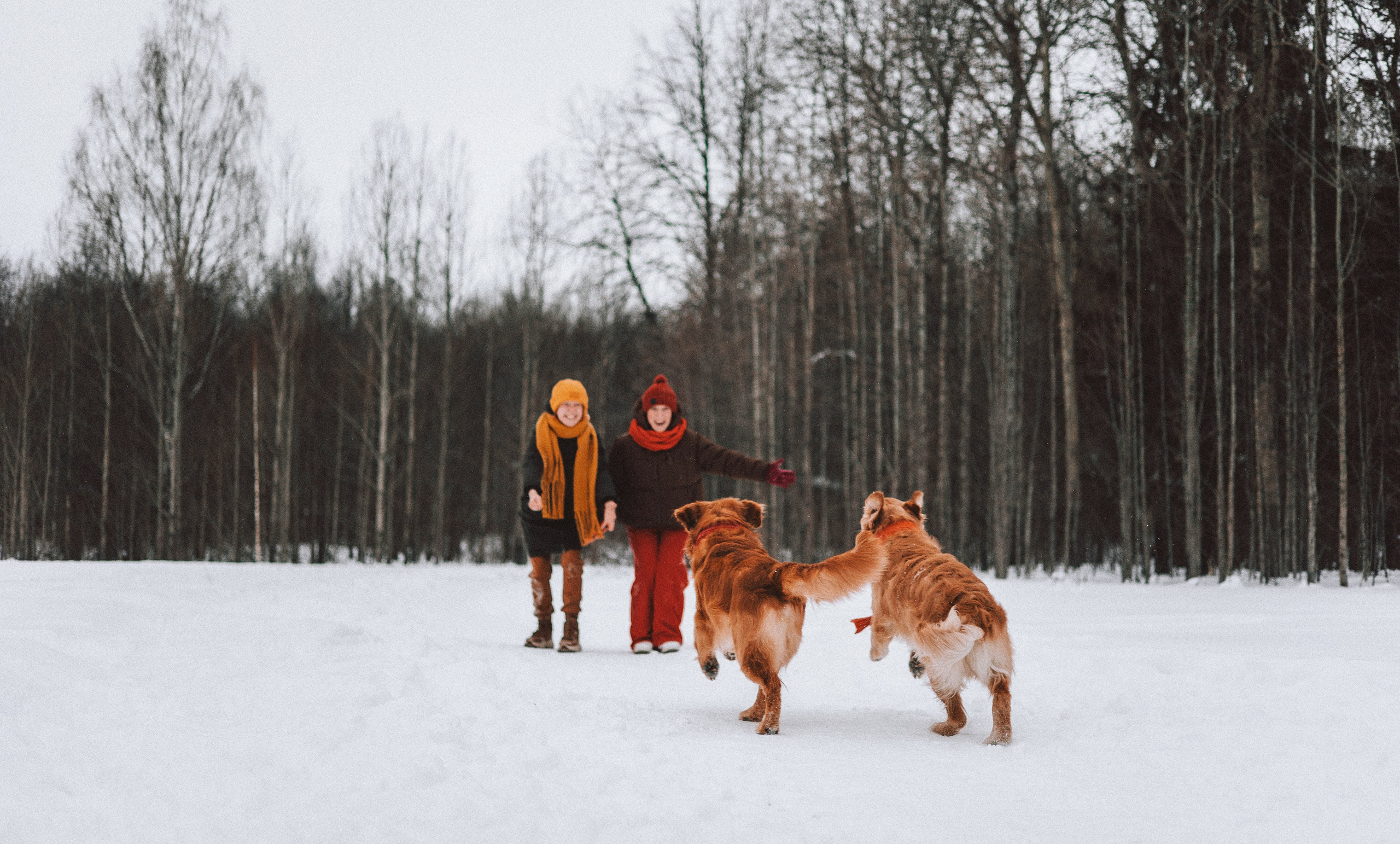 Саша, Юля, Грэй и Джой. Фотограф-анималист Богданова Полина