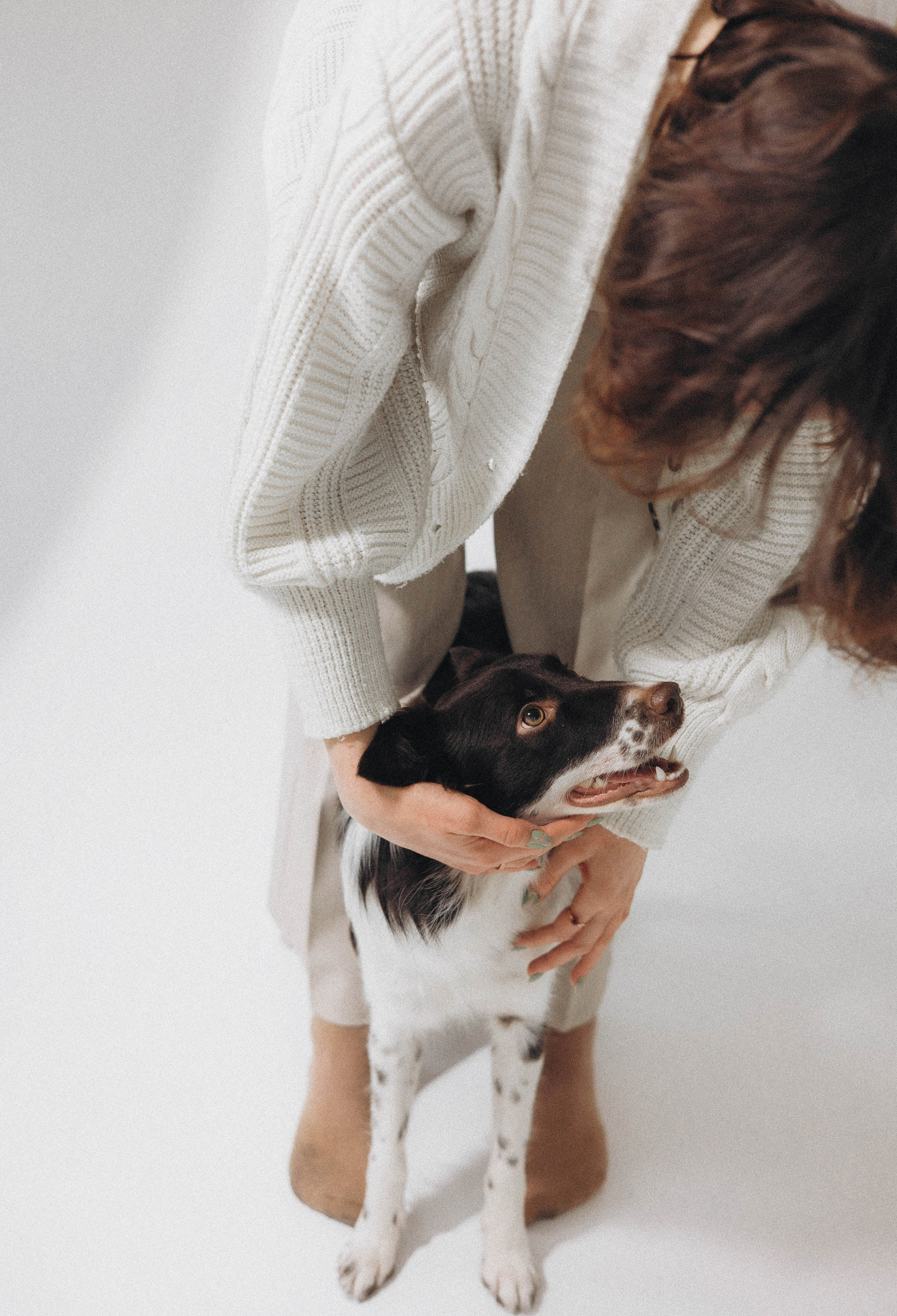 Алена и Гвендолин. Фотограф-анималист Богданова Полина