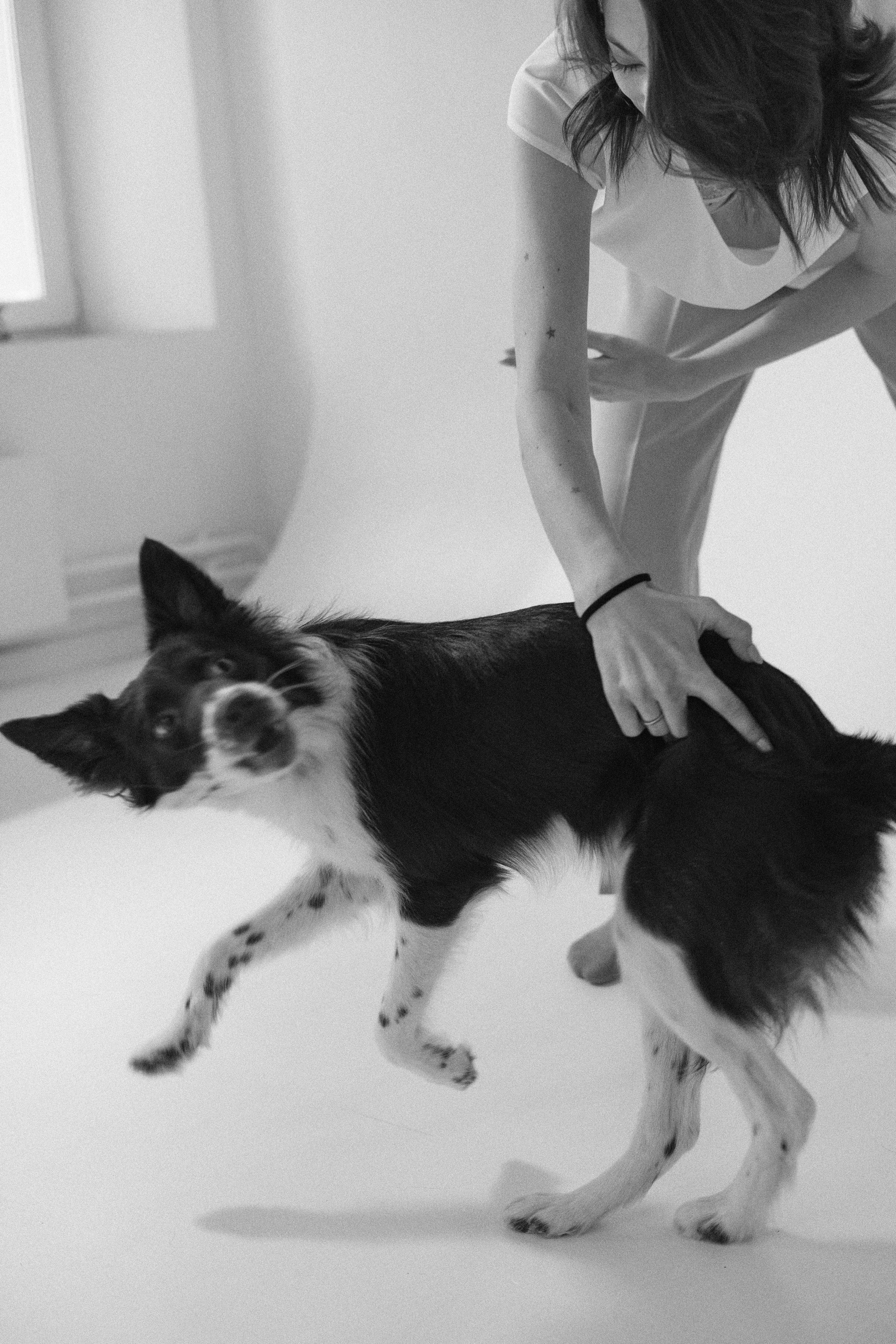 Алена и Гвендолин. Фотограф-анималист Богданова Полина