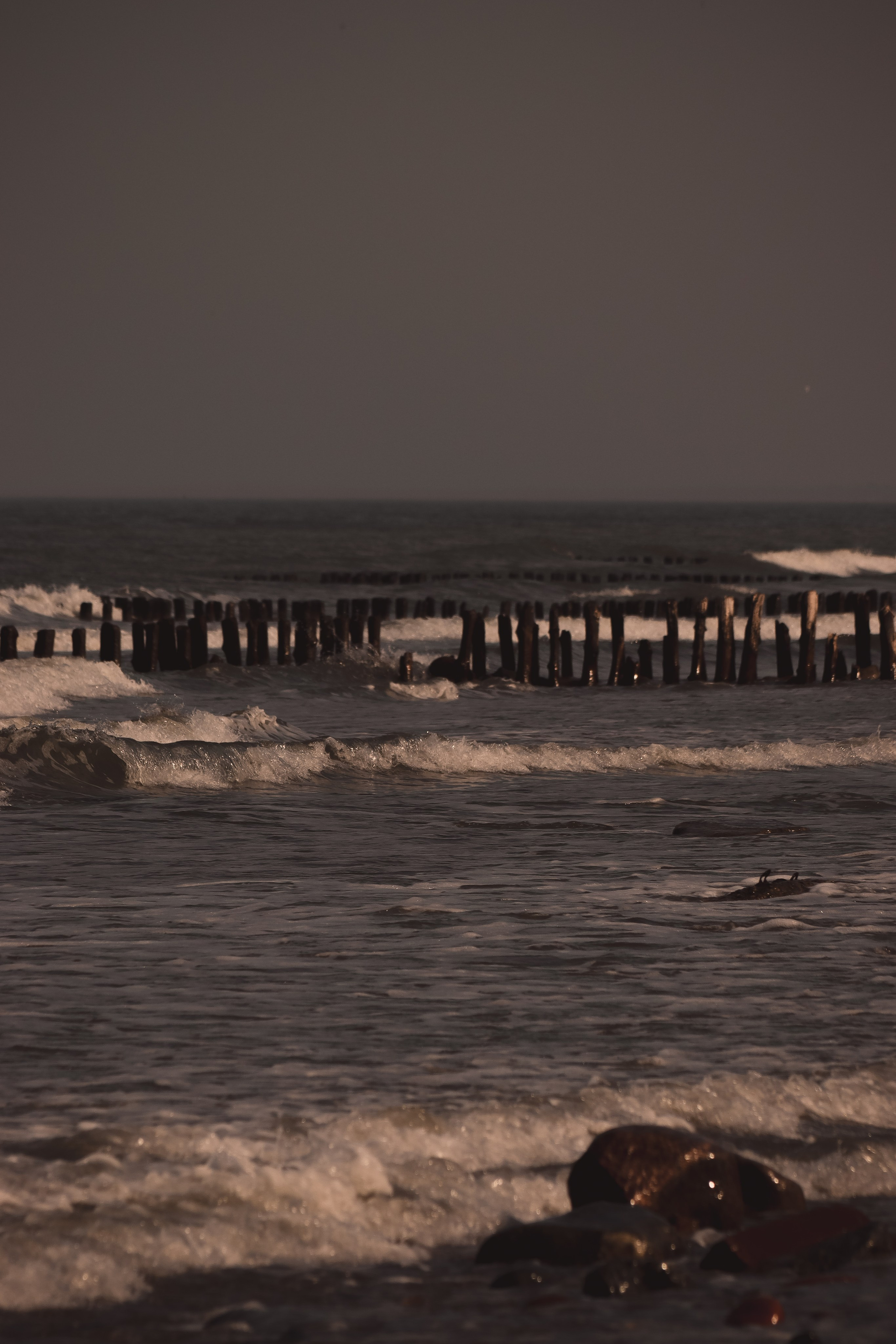 В О Д А. — Digital Noise —