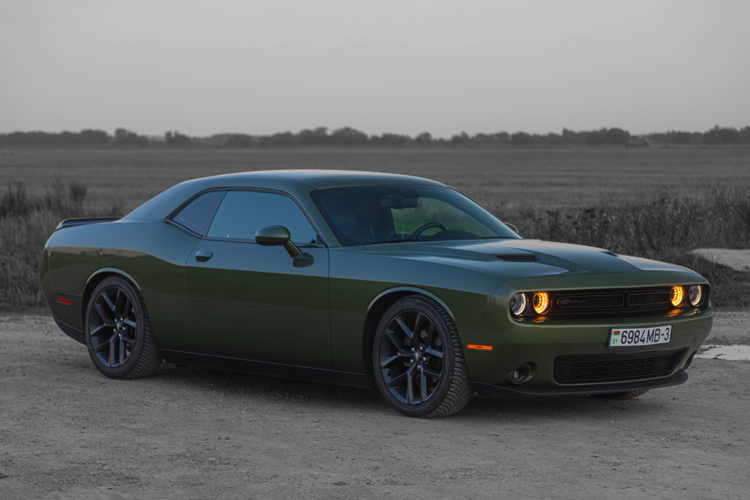 Partner Rent — Dodge Challenger. — Digital Noise —