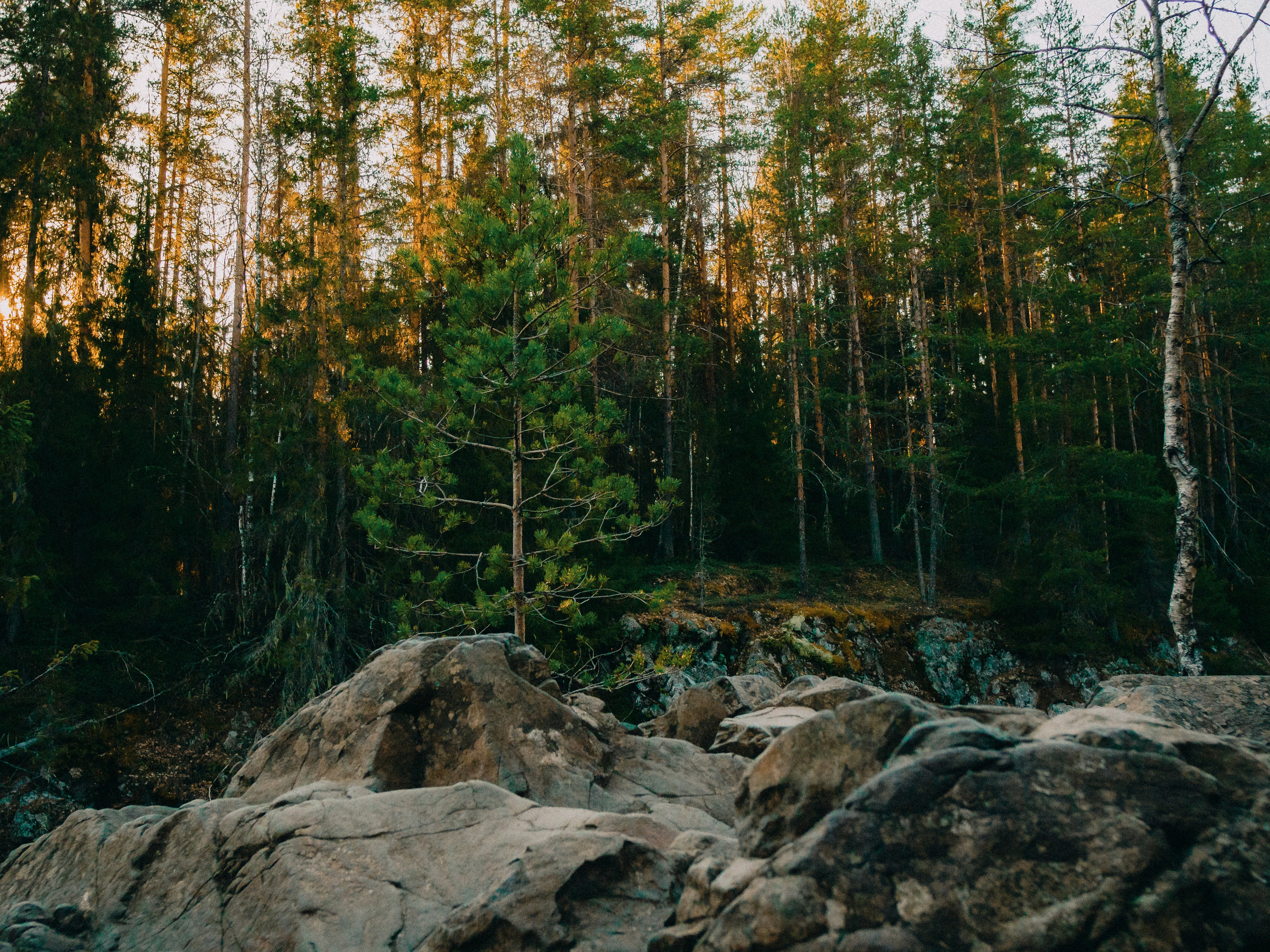 Карелия '23. Фёдор Малюгин. Ваш бади в визуале