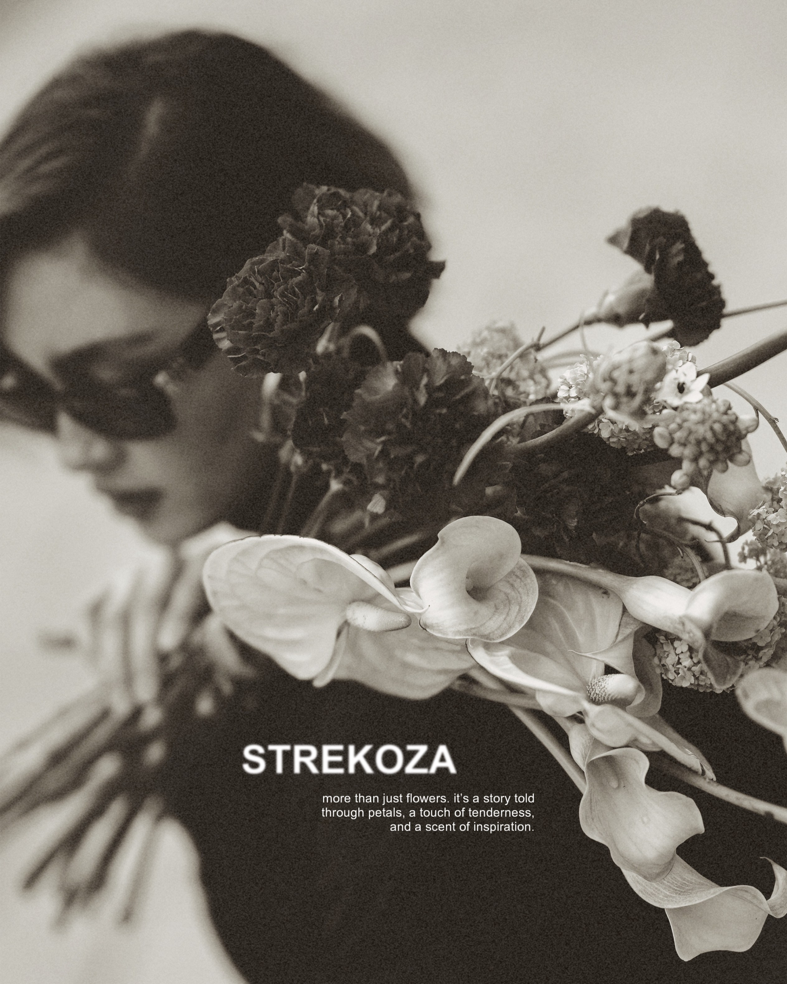 STREKOZA MAISON. Главная