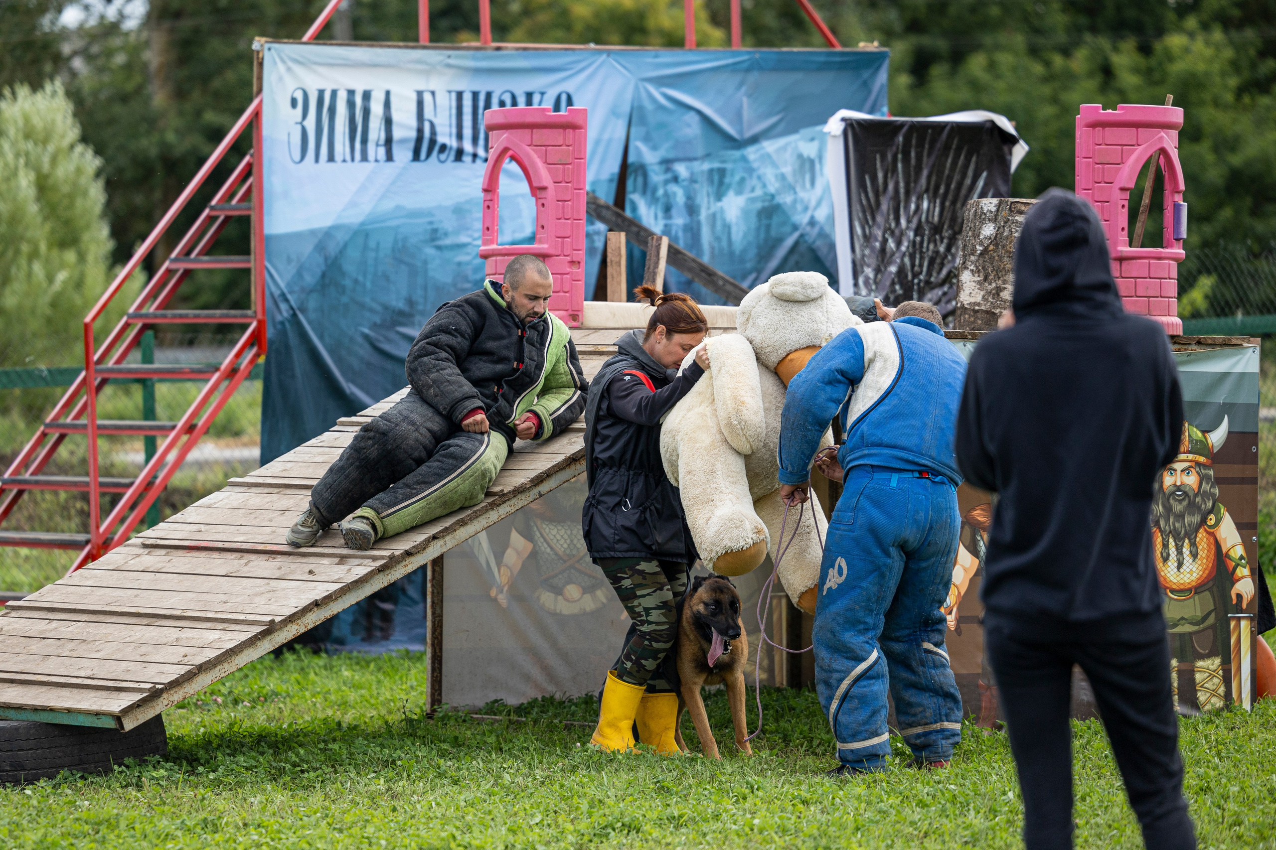 Соревнования по Мондьорингу г. Вологда 10-11.08.2024. Фотограф-анималист Анна Маринич