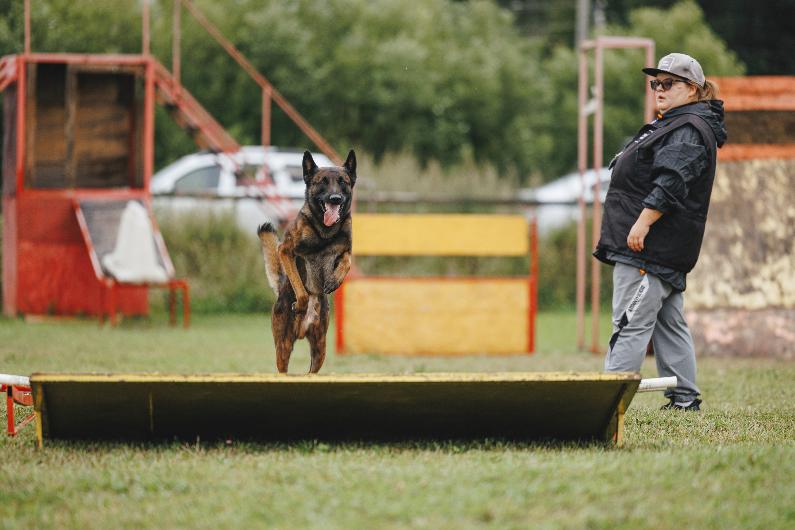 08.08.25-10.08.25 ЧР по мондьорингу г. Вологда. Фотограф-анималист Анна Маринич