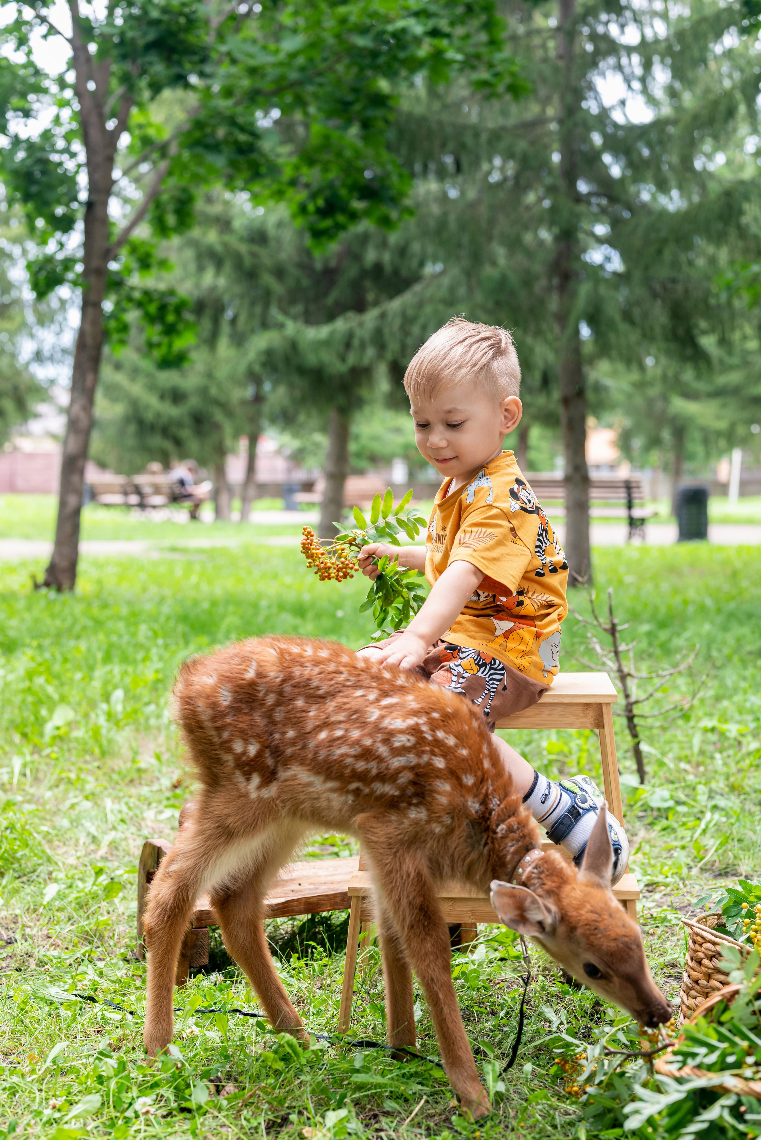 Фотопроект *Оленёнок Бэмби*. Фотограф в городе Салават
