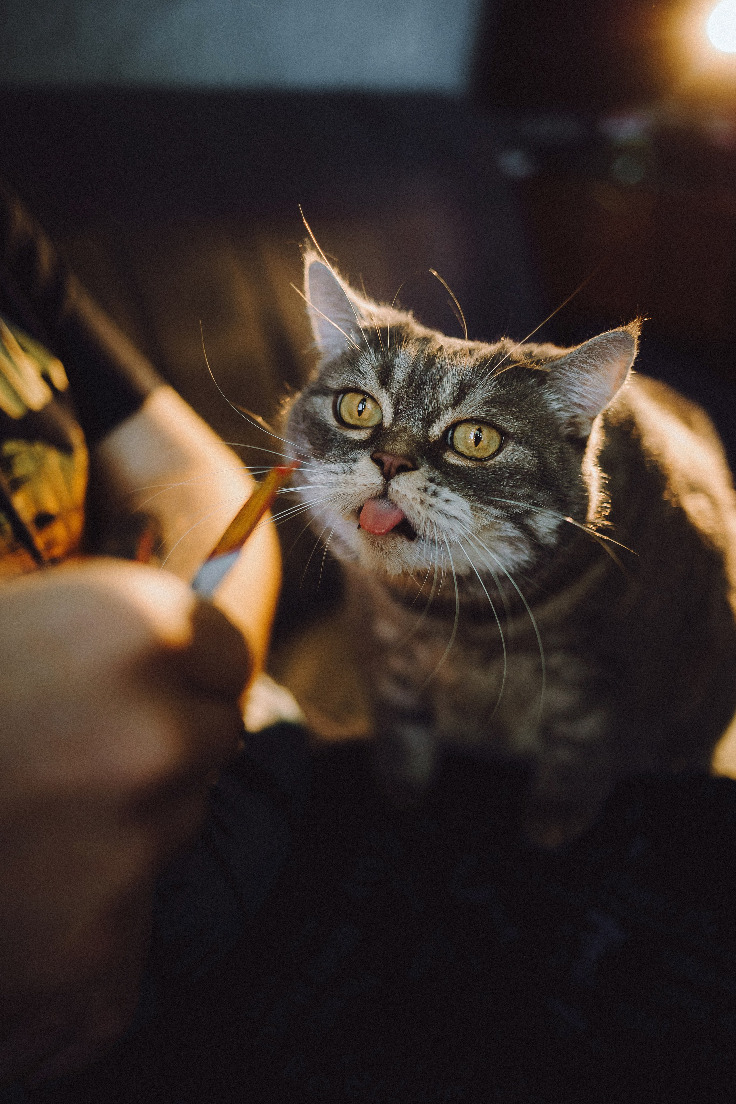 Яся и ее семья