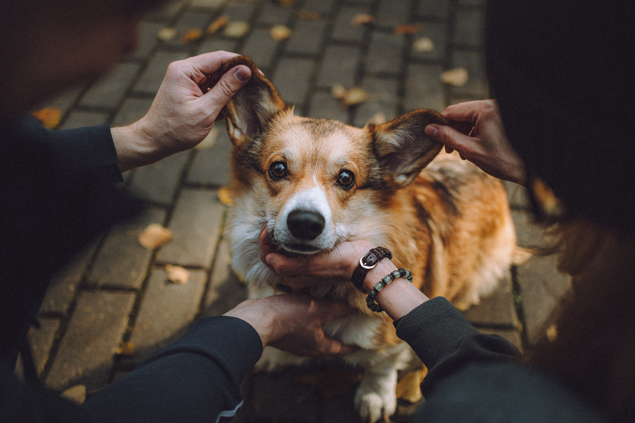Карина, Даня и Аркаша