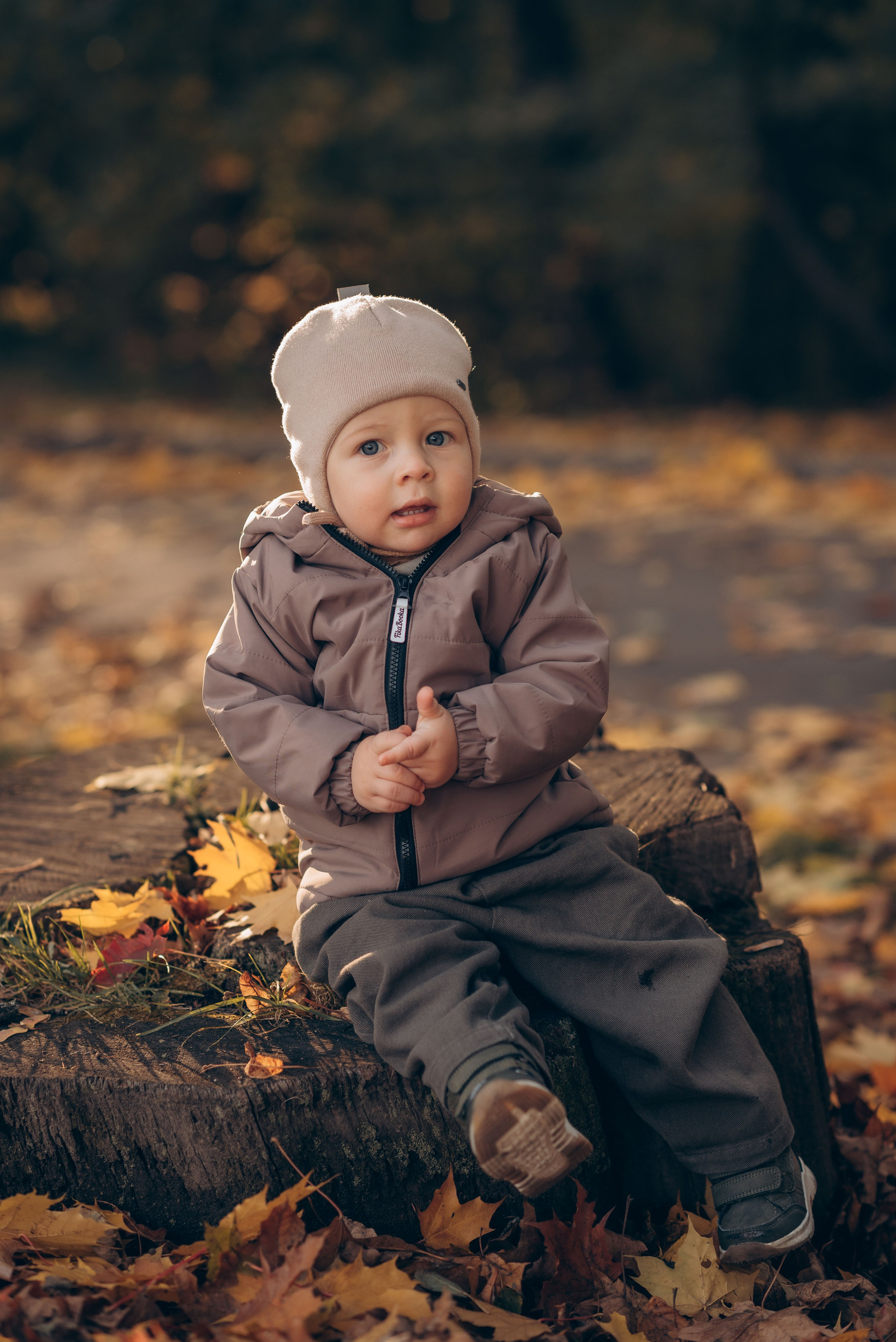 Осень в парке. Семейный фотограф в Домодедово и Москве Елена Пичугина