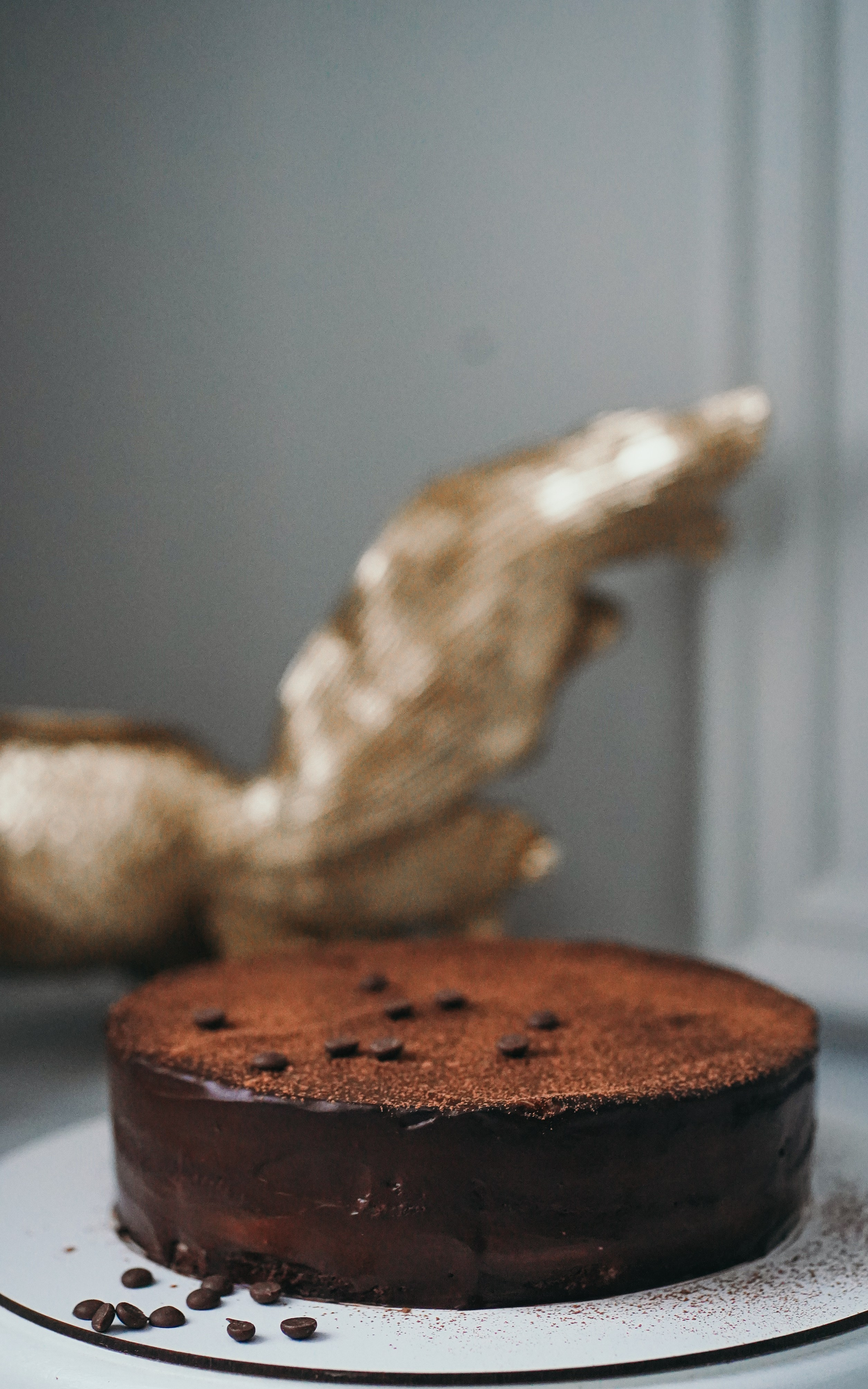 Роза пп-десерты. Семейный и детский фотограф в Москве (Тинао) Галкина Алевтина