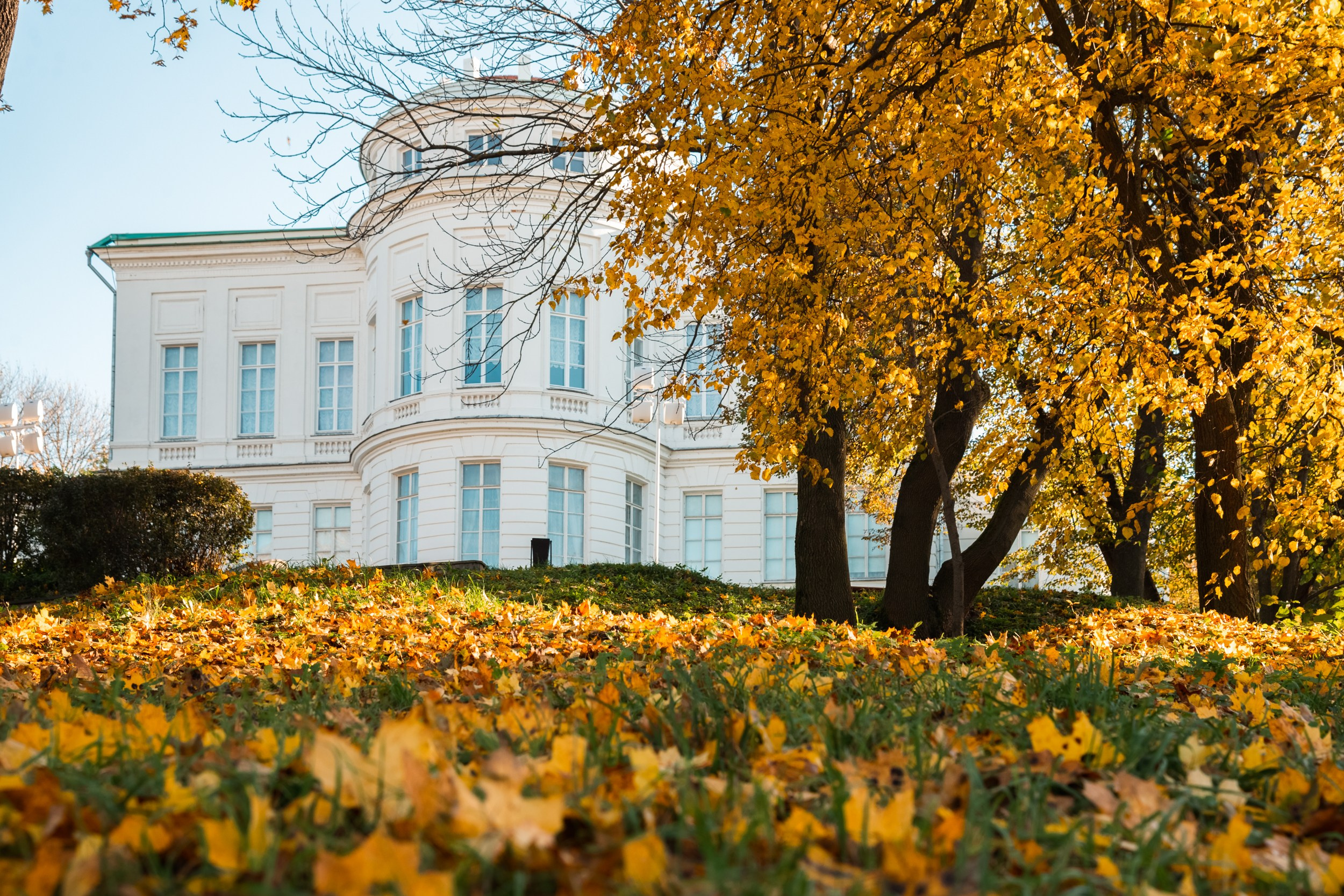 Богородицк. Фотограф и видеооператор в Туле | Даниил Рыбак