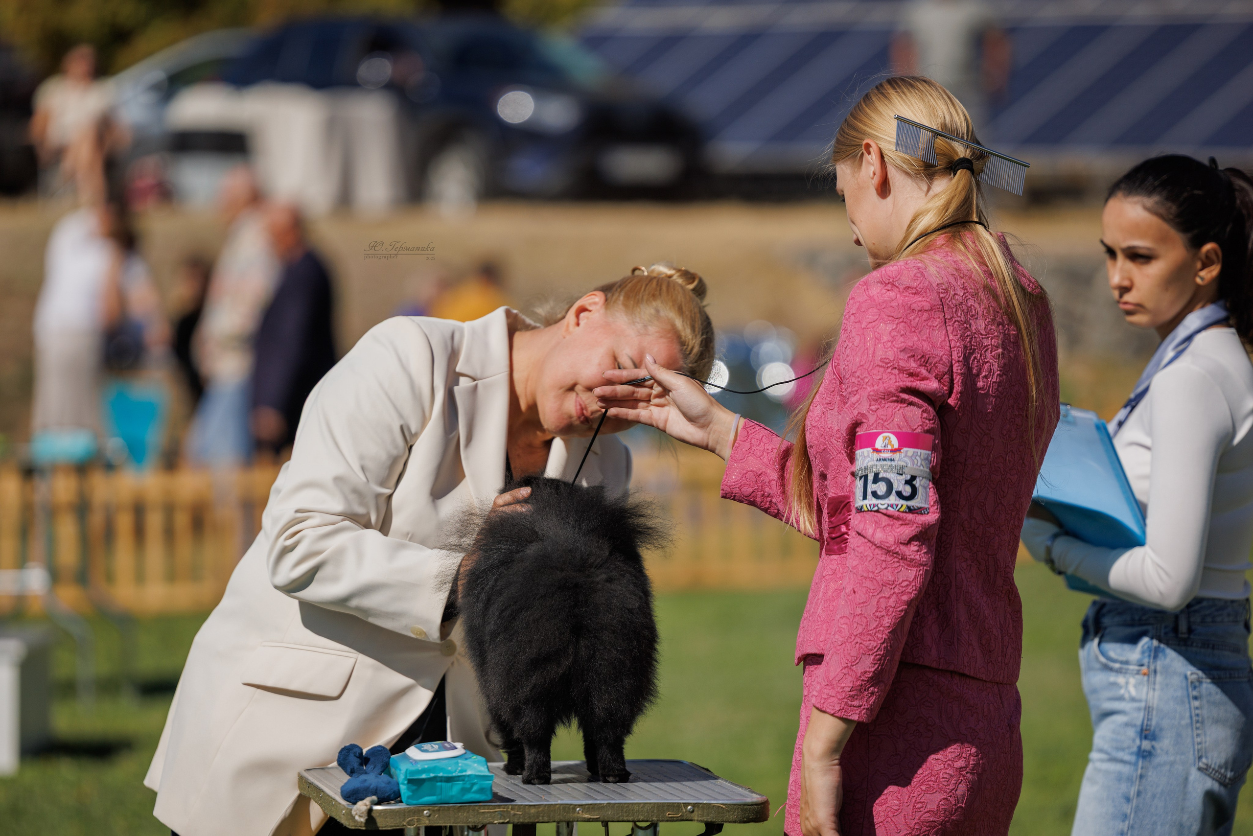 Ереван 14-16.10.2025. Фотограф-анималист Юлия Германика