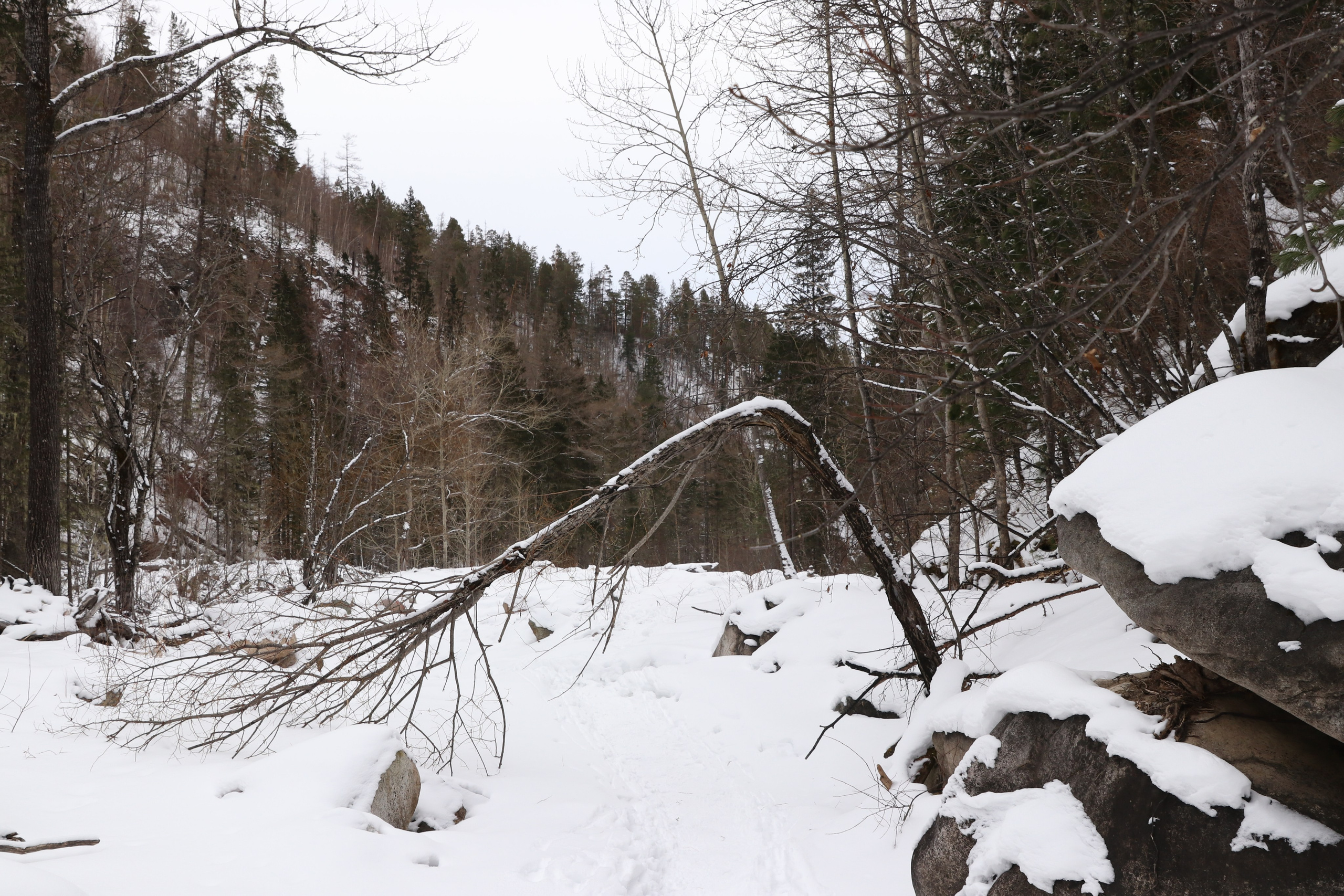 Аршан. Январь 2024. Путешественник-фотограф из Санкт-Петербурга Татьяна Свистулина