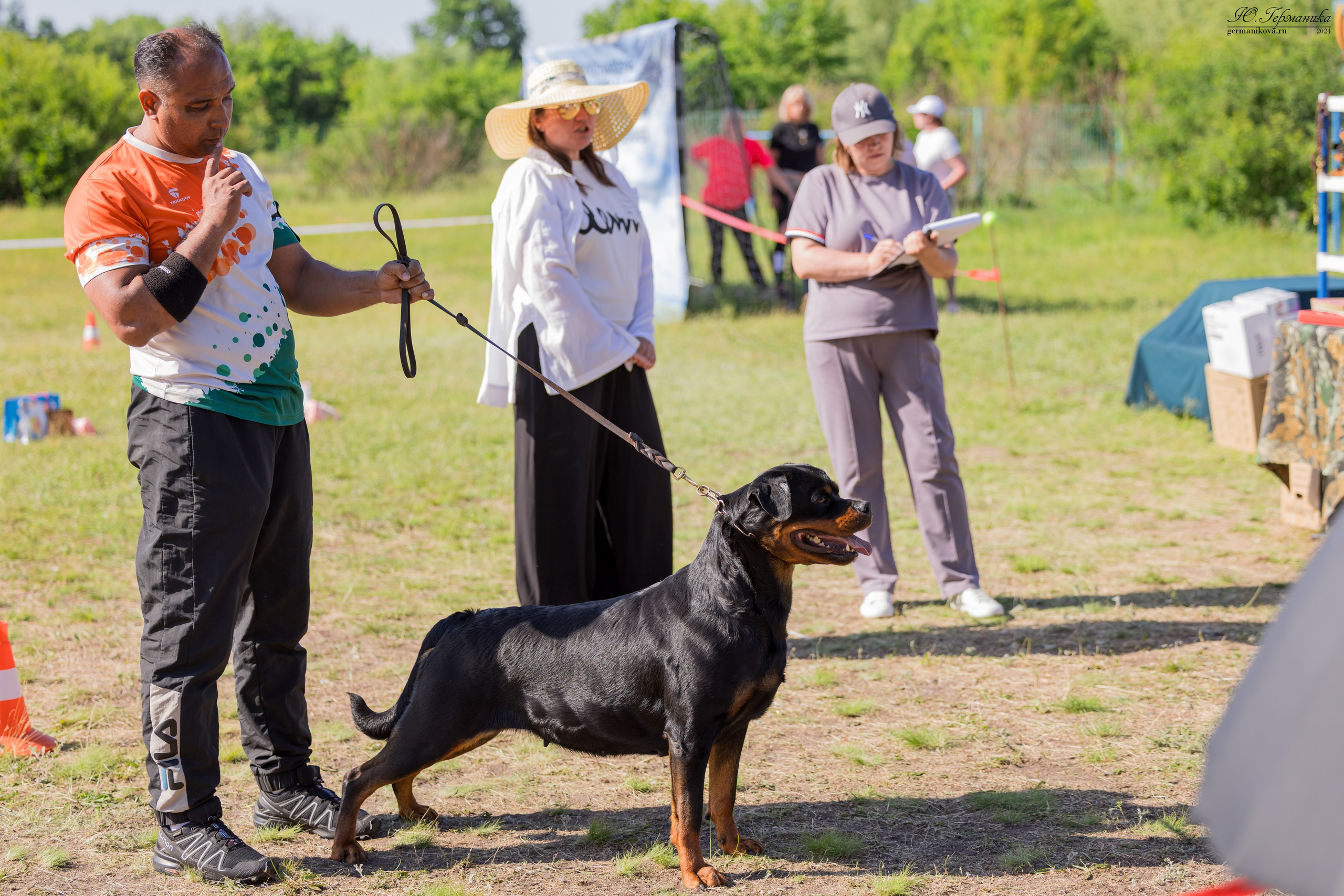 Воронеж моно ротвейлеров 25-26.05.2024. Фотограф-анималист Юлия Германика