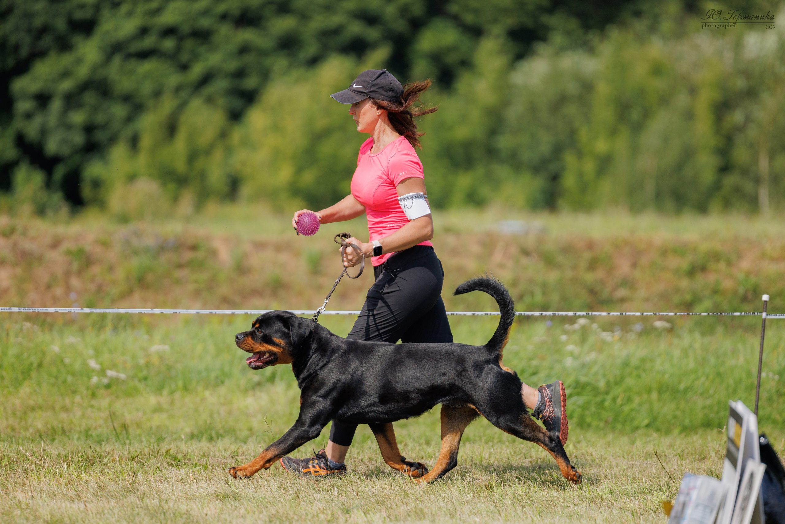 Рязань 2хмоно ротвейлеры 16-17.08.2025. Фотограф-анималист Юлия Германика